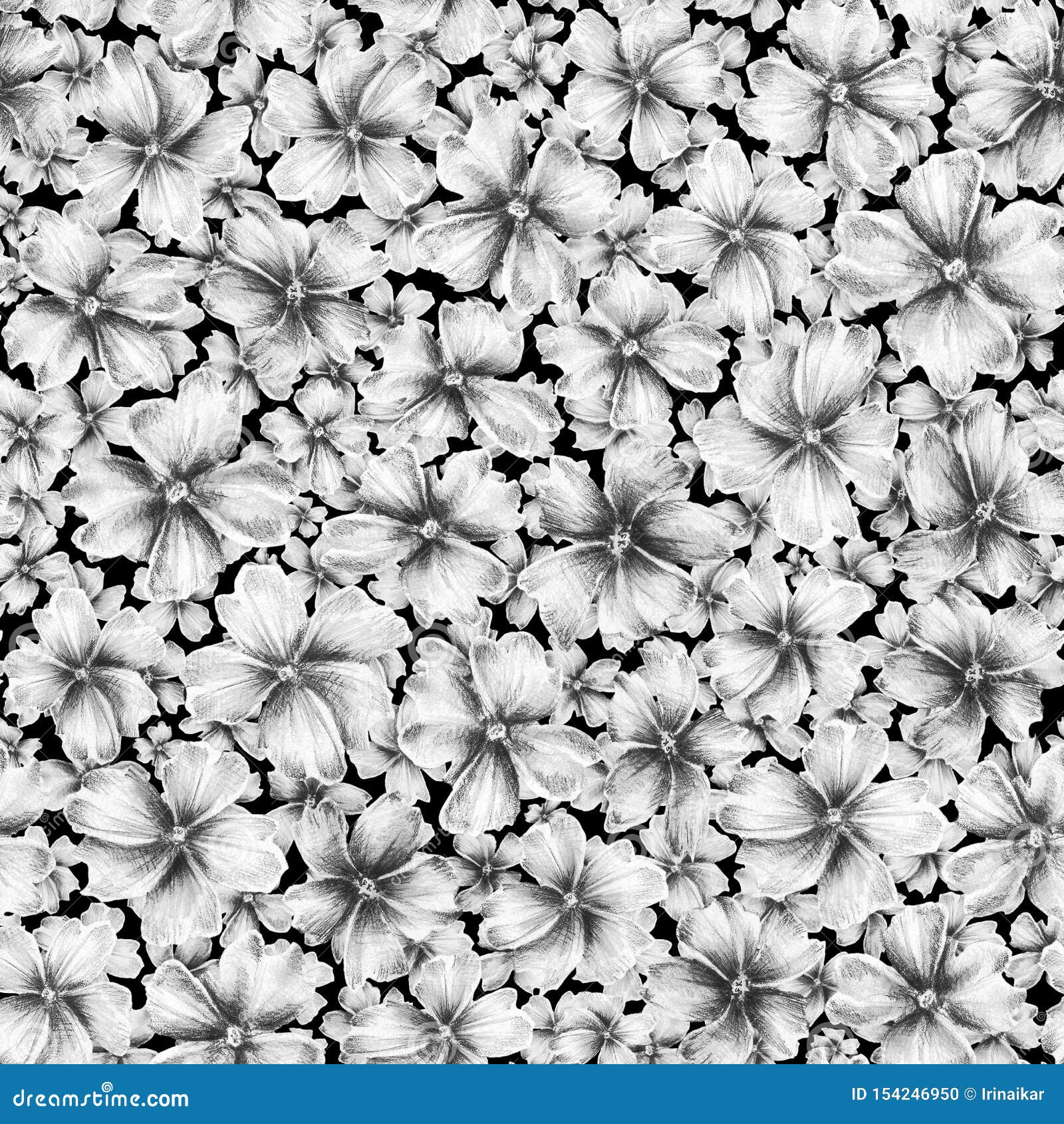 Beaucoup De Différentes Fleurs Dabrégé Sur Taille Sur Le
