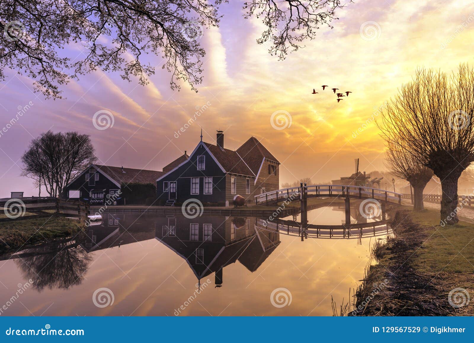 beautiful typical dutch wooden houses architecture mirrored on