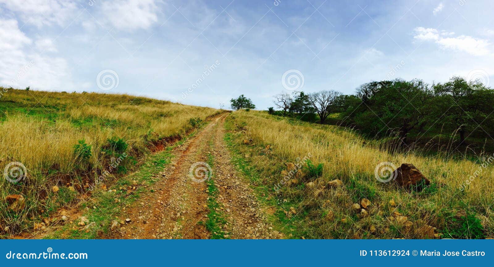beauiful scene of a field by the morning in costa rica