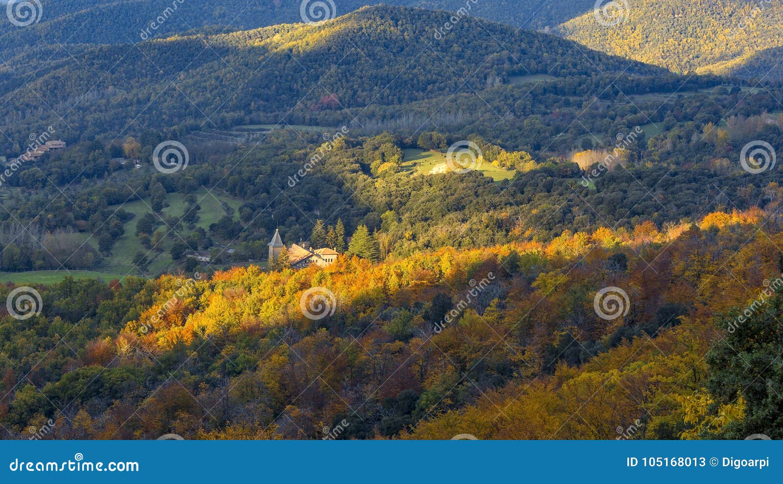 beautifal autumn beech forest en mountain montseny in spain