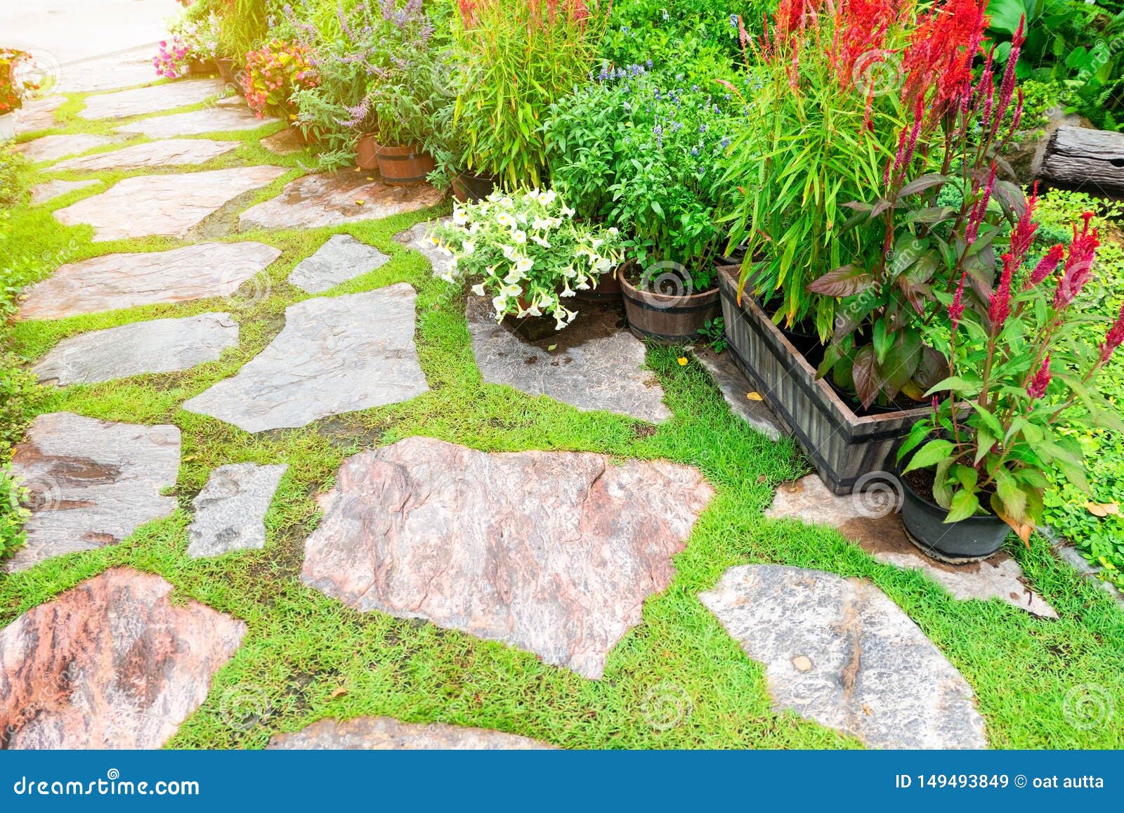 Beautifulaƒae A A A Aƒa Sa A Garden And Stone Path And Blooming Flower And Tree With Green Leaves Stock Image Image Of Holiday Natural