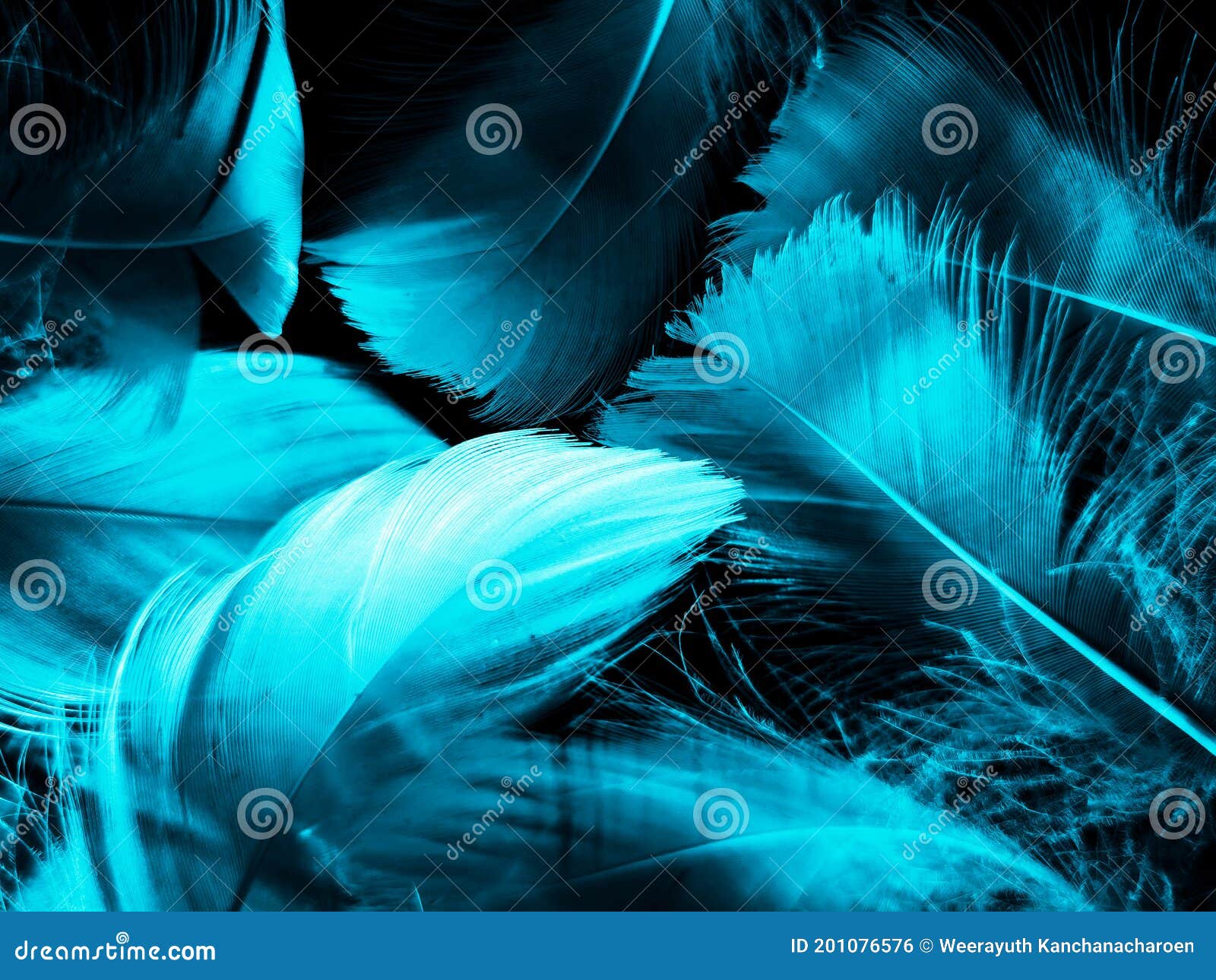 Beautiful Abstract Blue Feathers on Dark Background and Black Feather Texture on Blue Pattern and Blue Background, Feather Wallpap Stock Photo - Image of contrast, design: 201076576 Beautiful Abstract Blue Feathers on Dark Background and Black Feather Texture on Blue Pattern and Blue Background, Feather Wallpap Stock Photo - Image of contrast, design: 201076576