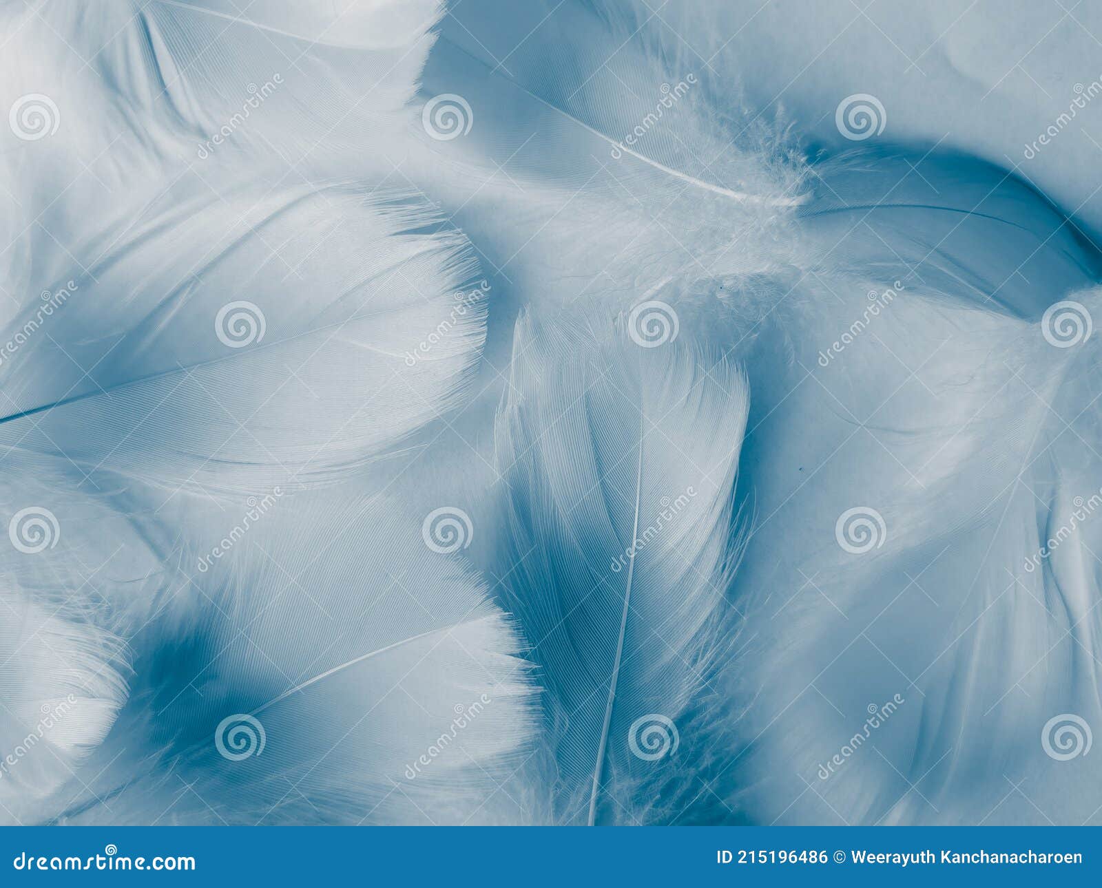 Beautiful Abstract Blue Feathers on White Background, White Feather Texture  and Blue Background, Feather Wallpaper, Blue Texture B Stock Photo - Image  of love, gradient: 215196486