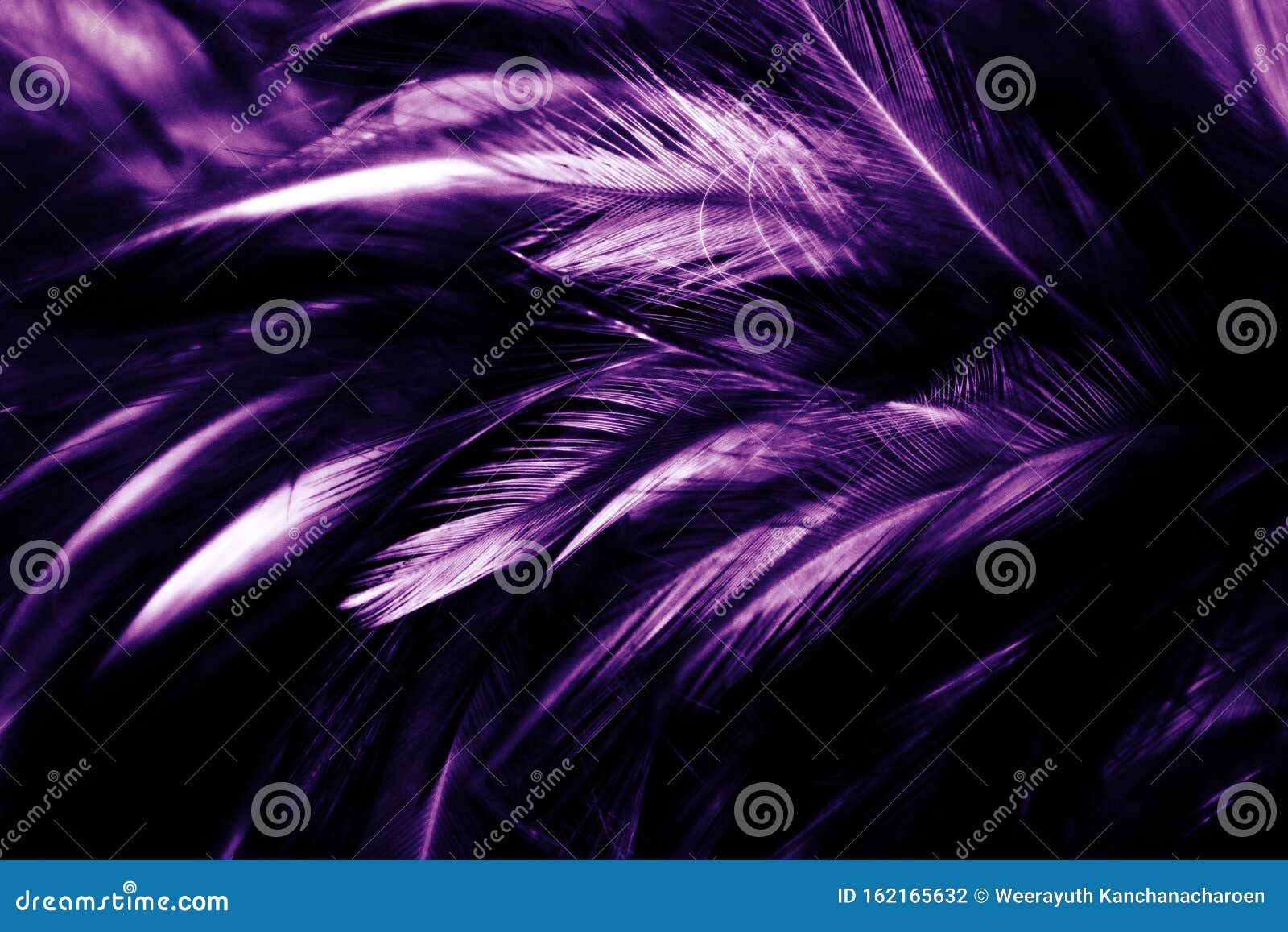 Beautiful Abstract Blue and Green Feathers on Dark Background and Soft  White Feather Texture on White Pattern and Green Background Stock Image -  Image of nature, decoration: 192812835