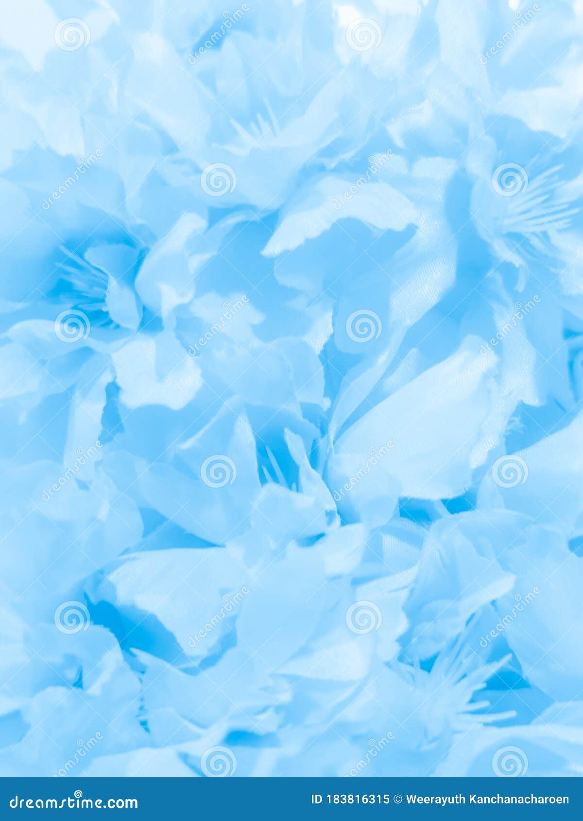 Beautiful Abstract Color Black and Blue Flowers on Black Background, White Flower Frame, Blue Leaves Texture, Purple Background Stock Image - Image of black, flora: 183816315 Beautiful Abstract Color Black and Blue Flowers on Black Background, White Flower Frame, Blue Leaves Texture, Purple Background Stock Image - Image of black, flora: 183816315