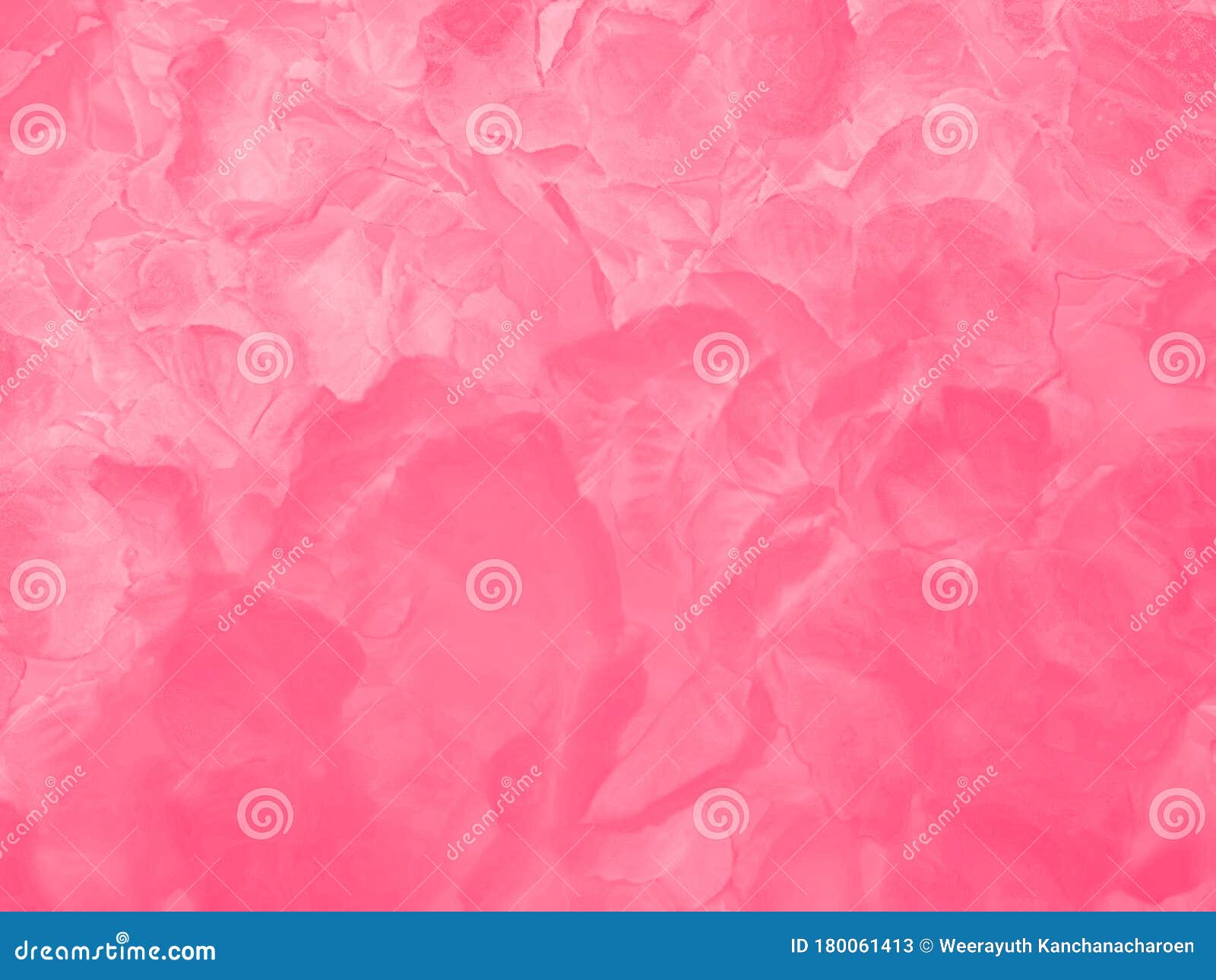 Beautiful Abstract Color Orange Pink Flowers on White Background and ...