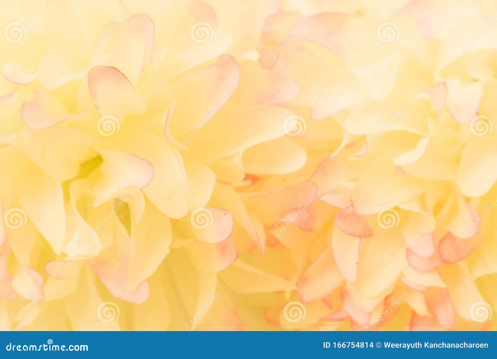 Các loại hoa màu hồng và vàng trên nền trắng tạo ra một bức tranh thật tuyệt vời! Màu sắc tươi sáng của hoa khiến chúng trở thành điểm nhấn đặc biệt trong không gian sống của bạn. Những chiếc hoa này sẽ giúp cho gia đình bạn tận hưởng những giây phút thư giãn sau một ngày dài.