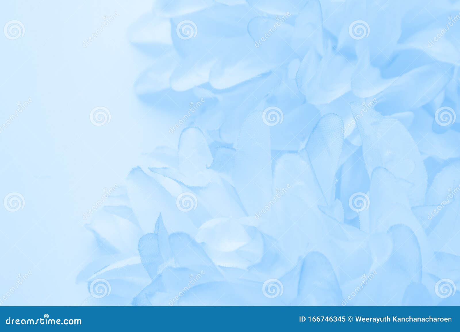 Sắc tím và xanh lá cây của hoa tím xanh trên nền trắng tạo nên một tác phẩm nghệ thuật tuyệt đẹp. Hãy xem hình ảnh để trải nghiệm sự thanh lịch và tinh tế của chúng.