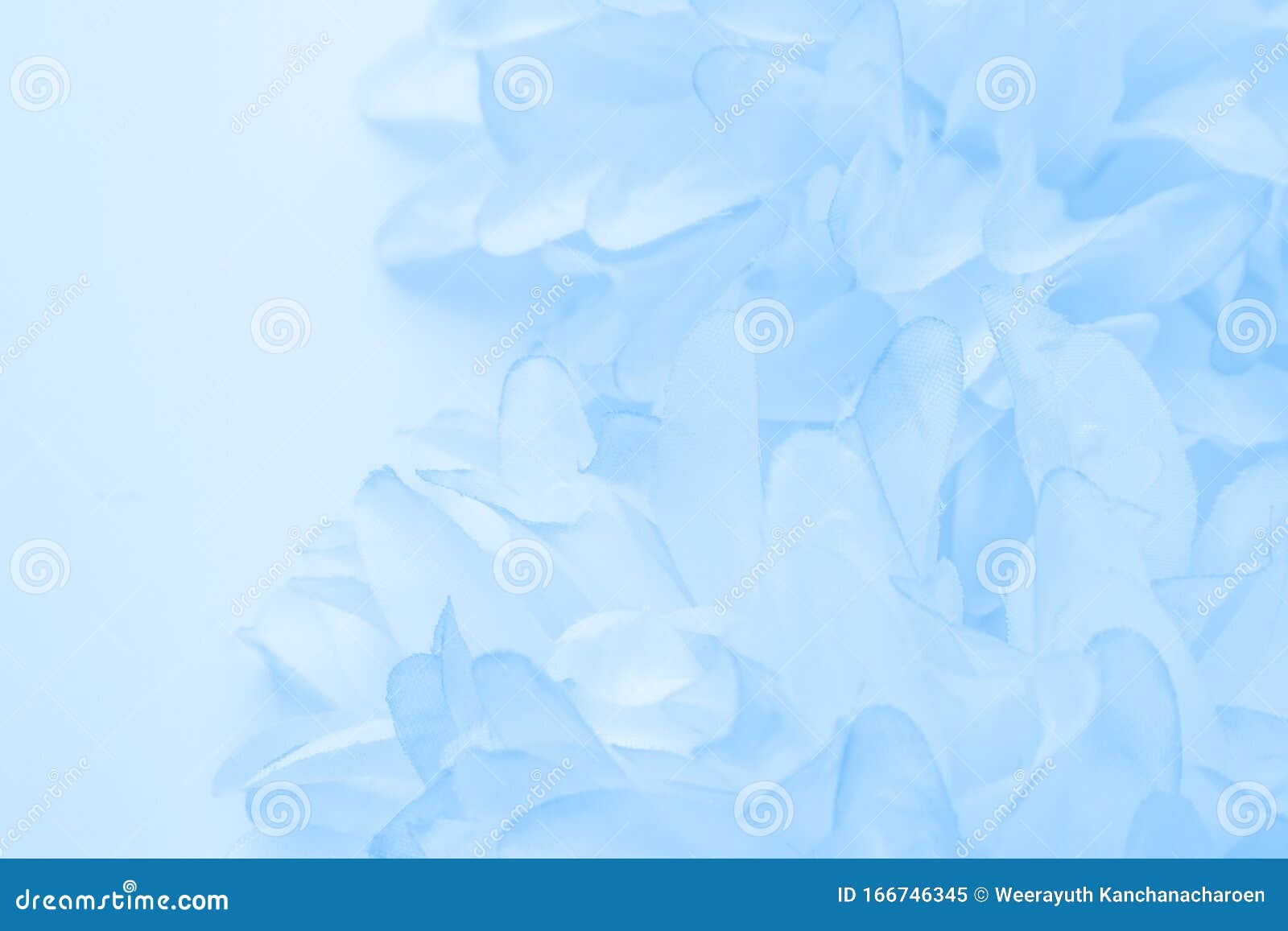 blue flowers with white background