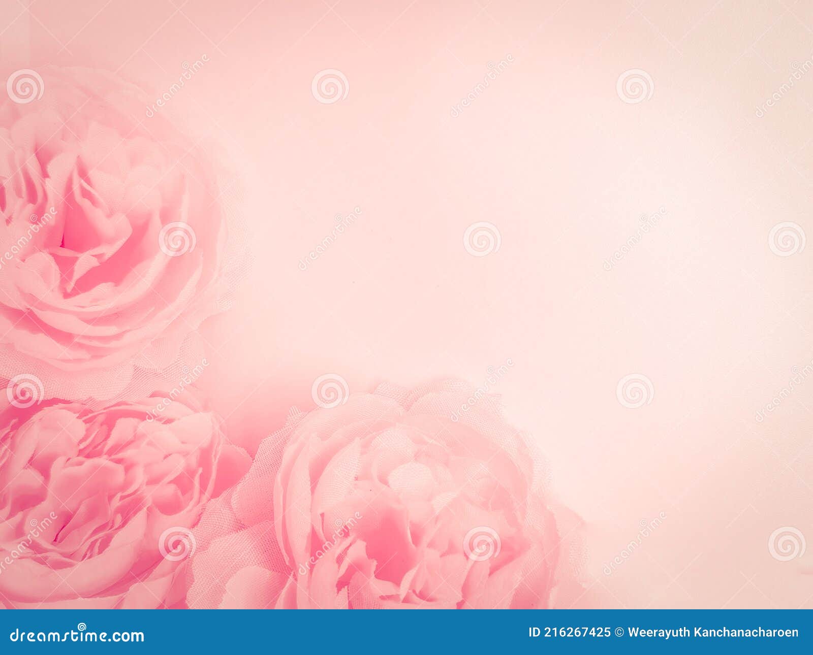 Beautiful Abstract Color Red Flowers on White Background, Light Pink Flower  Frame, Pink Leaves Texture, Gray Background, Valentine Stock Image - Image  of abstract, heart: 216267425