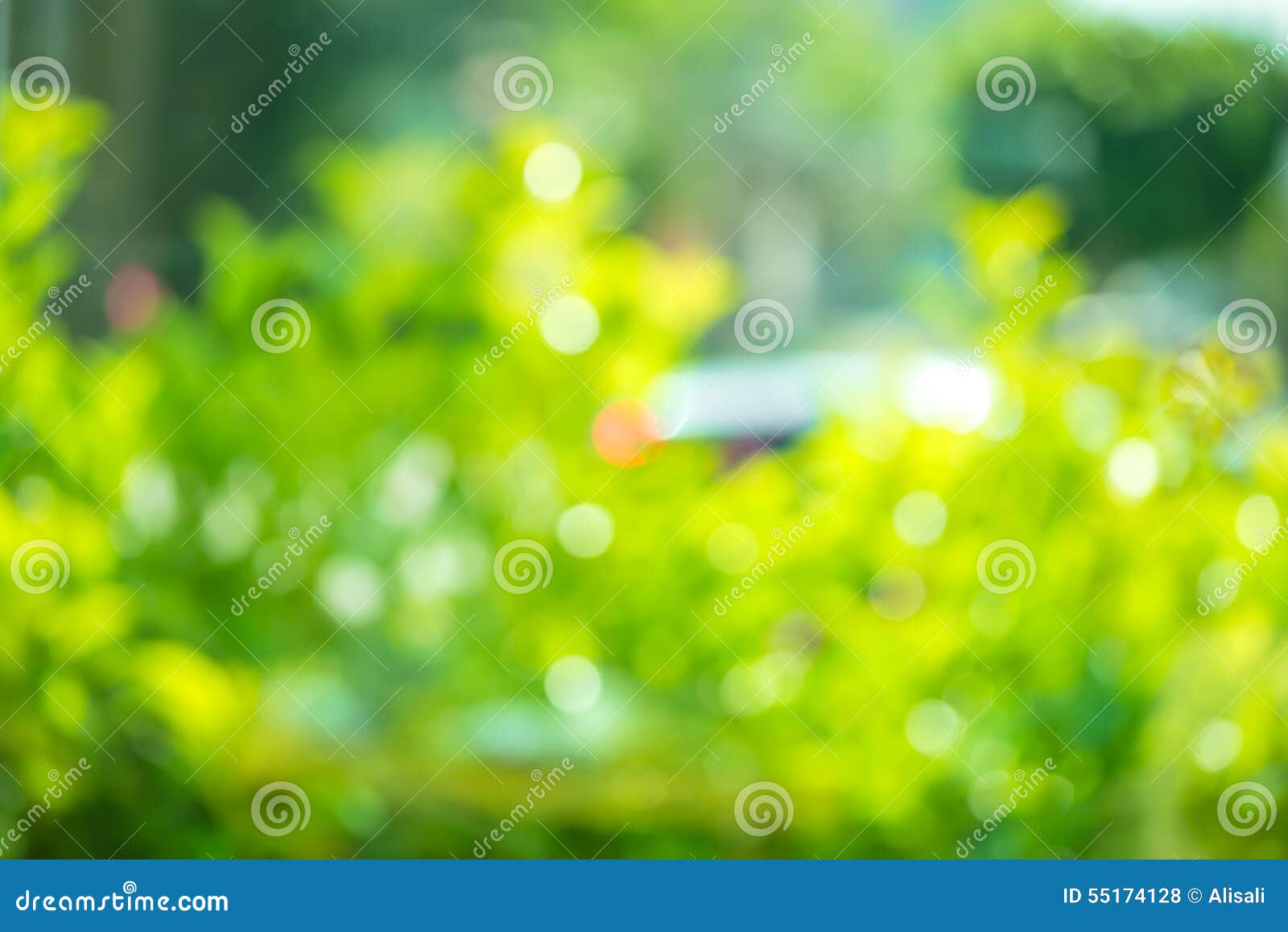 Beautiful Abstract Natural Spring Green Bokeh Background, Blur E Stock  Photo 55174128 - Megapixl