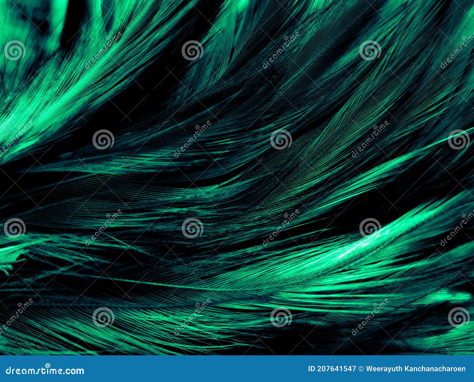 Beautiful abstract green feathers on white background, yellow feather  texture on dark pattern, green background, feather wallpaper, love theme,  valentines day, green gradient texture Stock Photo