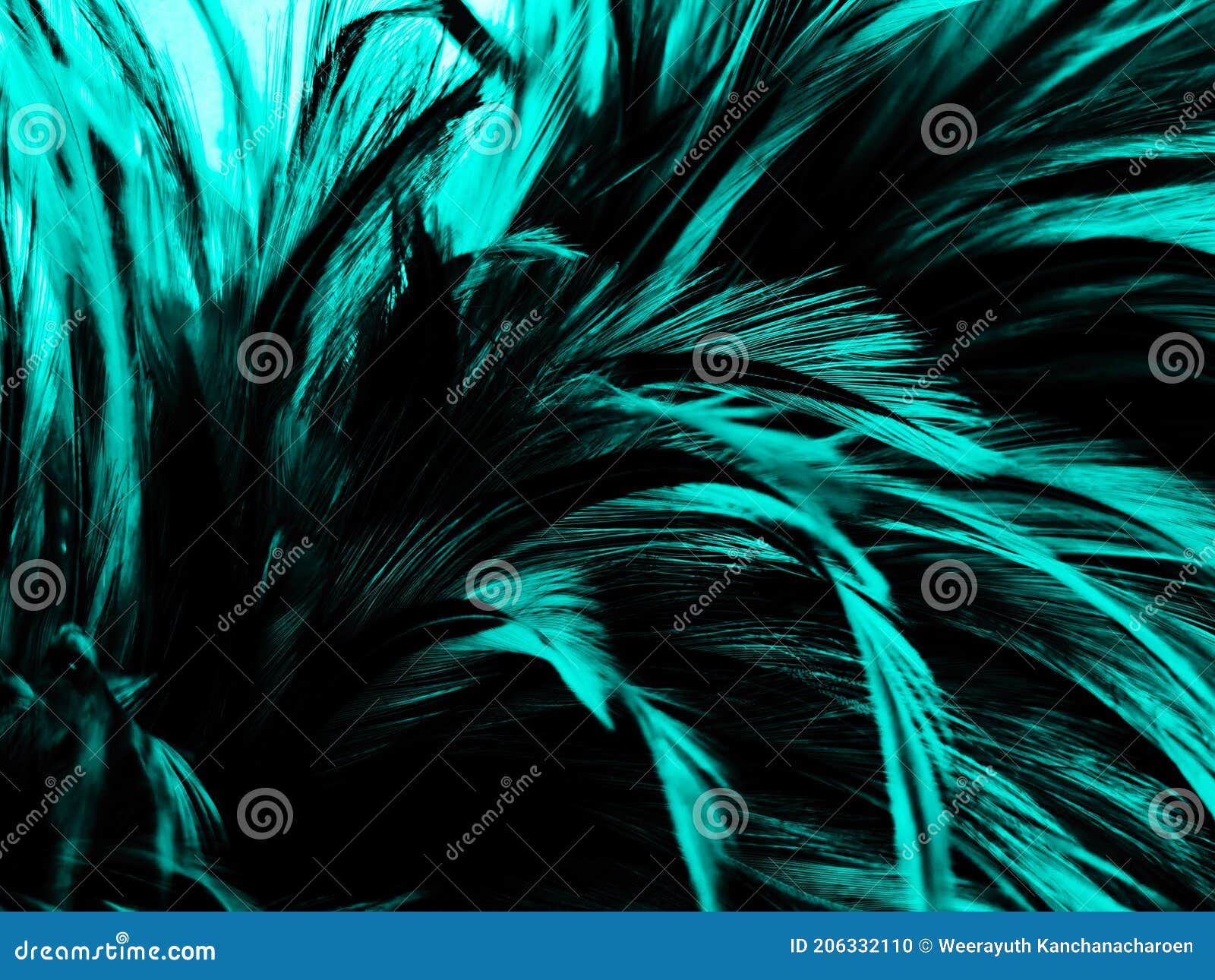 Beautiful abstract green feathers on white background, yellow feather  texture on dark pattern, green background, feather wallpaper, love theme,  valentines day, green gradient texture Stock Photo