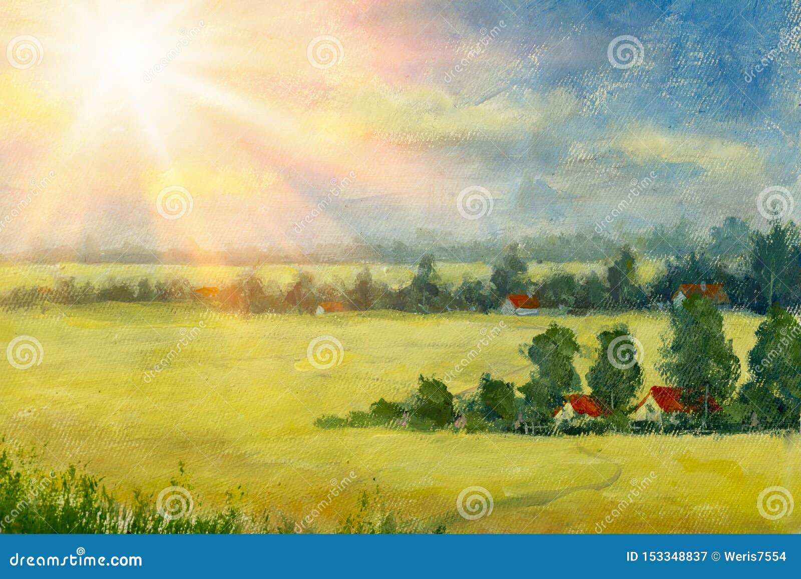 beautiful acrylic painting canvas sunny country landscape summer nature yellow flowering field farm houses village 153348837