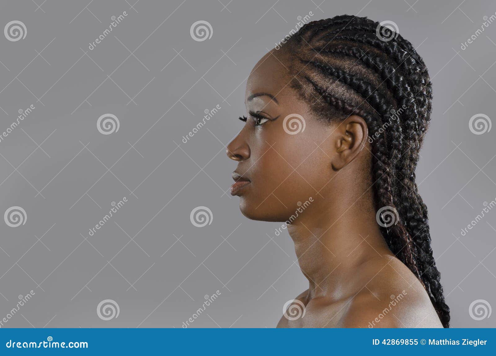 Beautiful African Woman Profile Stock Photo - Image: 42869855