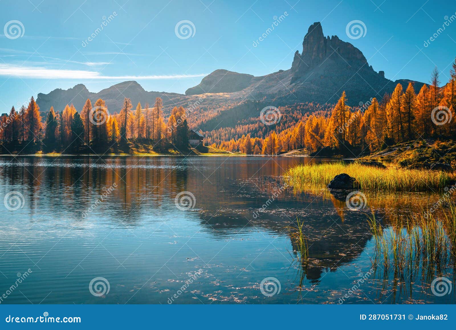 beautiful alpine lake and colorful larch forest, lake federa, dolomites