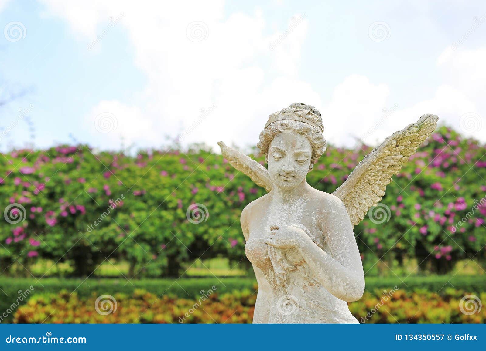 angel garden beautiful statue