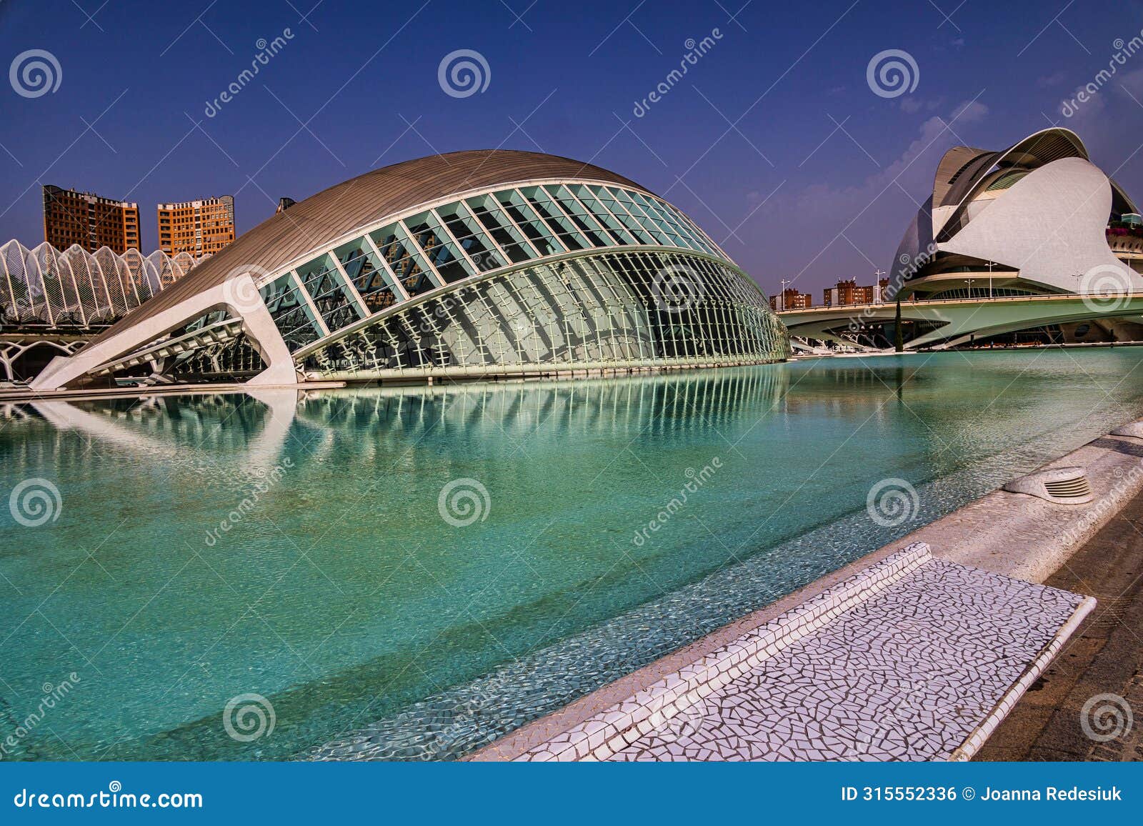 architecture city of arts and sciences in valencia, spain