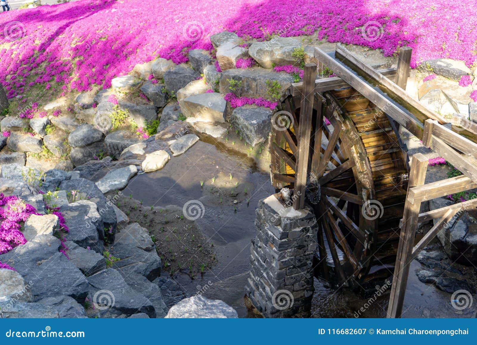 beautiful artificial mill stream or water wheel decorated in botanical garden at hwangmaesan county park in hapcheon-gun