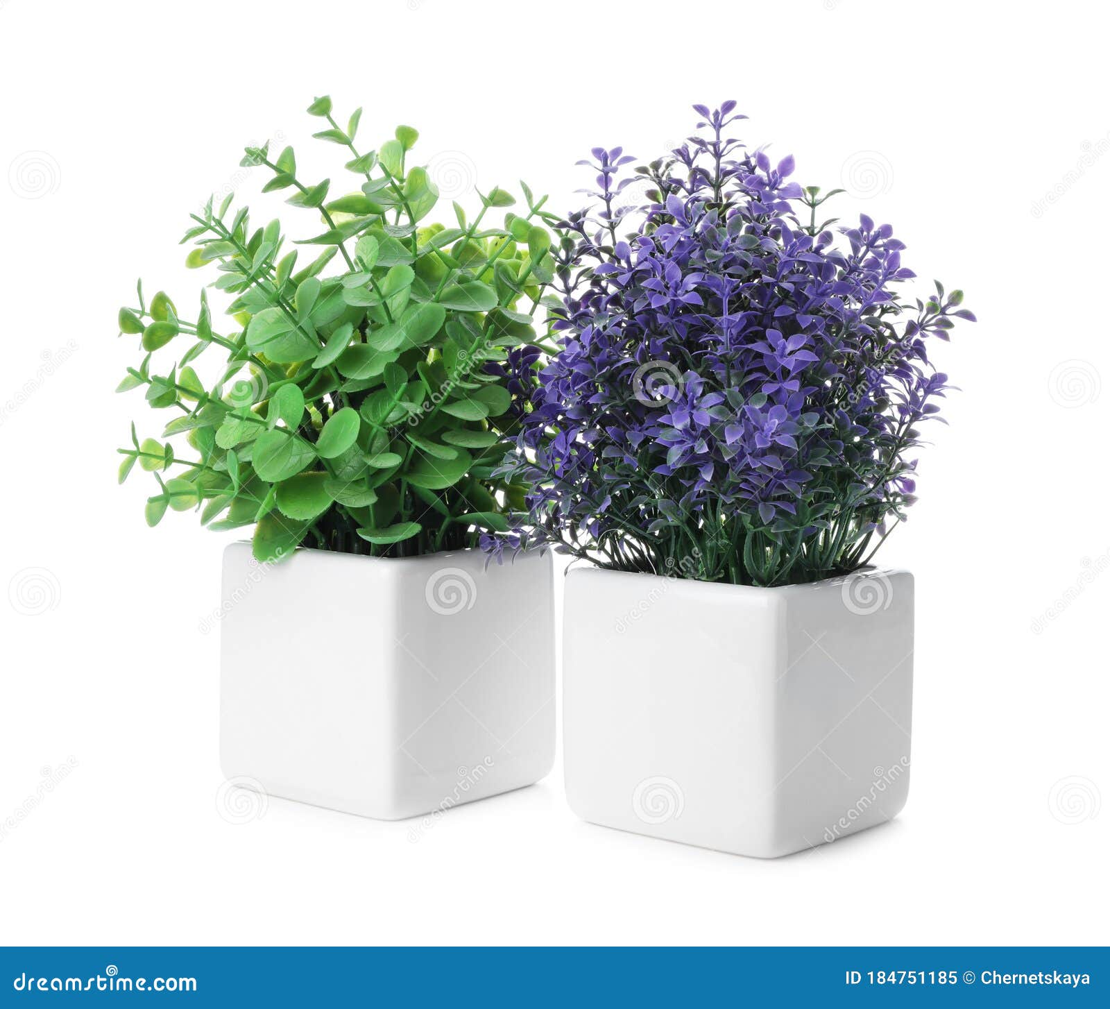 Beautiful Artificial Plants in Flower Pots Isolated Stock Image Image