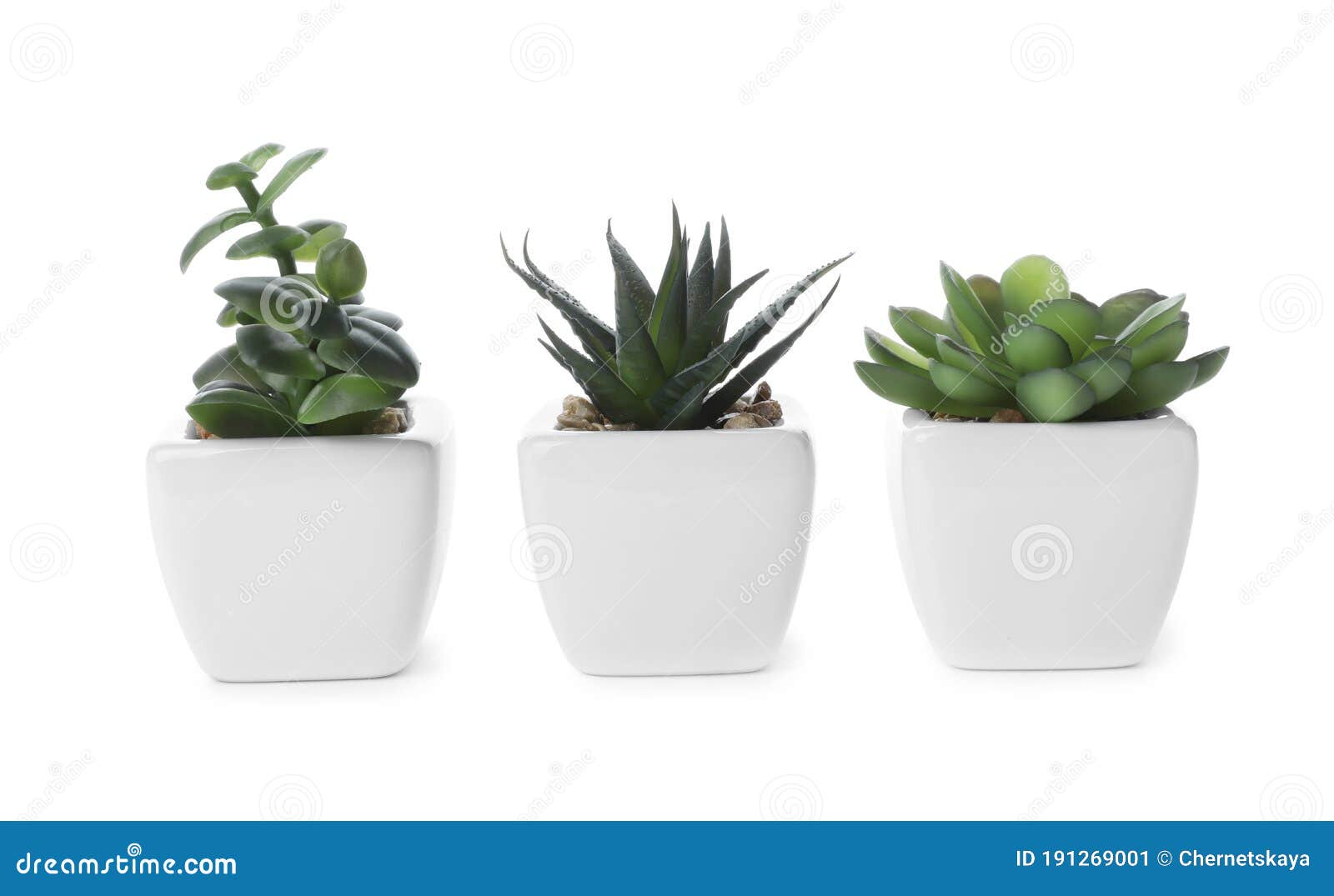 Beautiful Artificial Plants in Flower Pots Isolated Stock Image Image