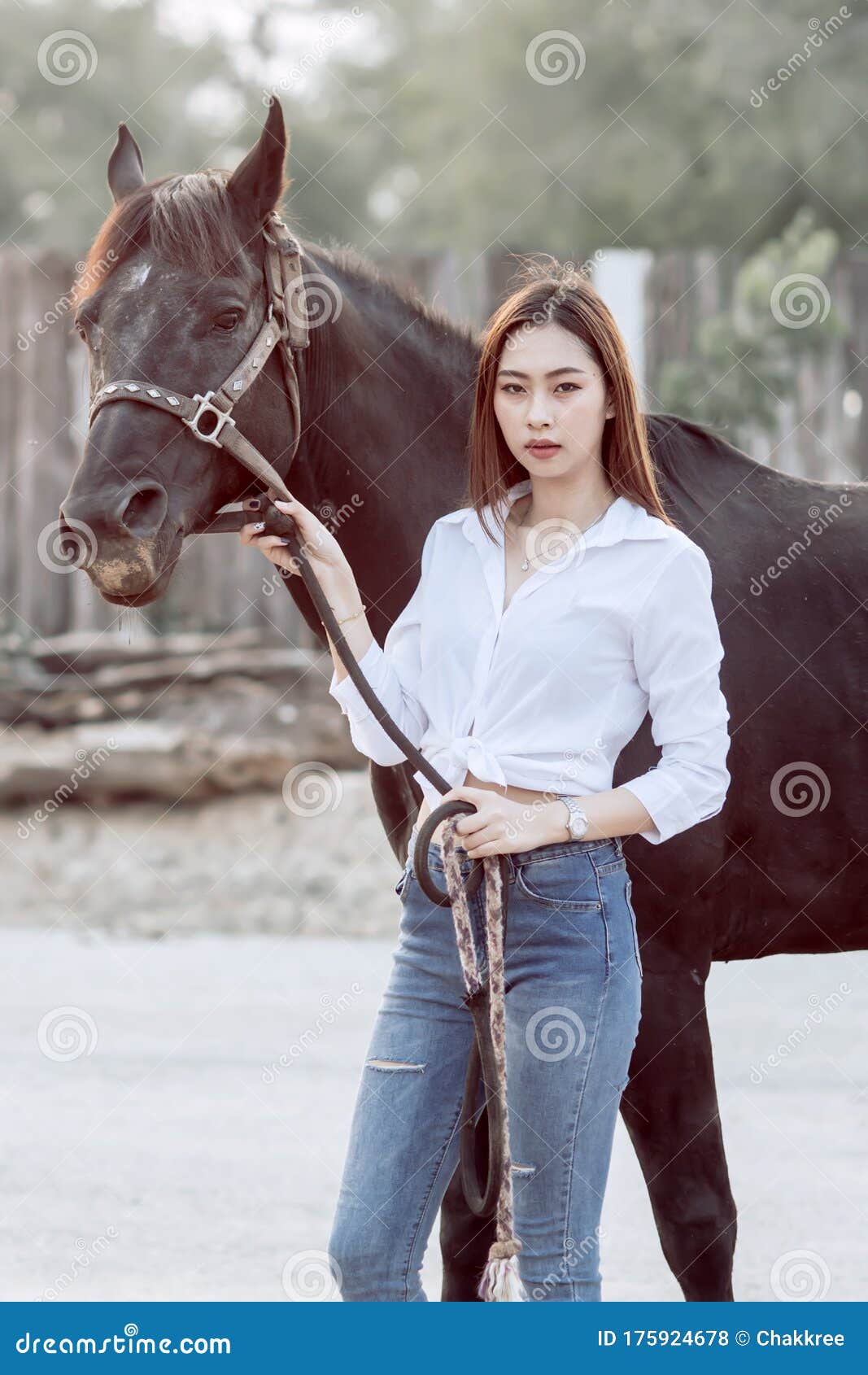 Girl and a horse sex in Ürümqi