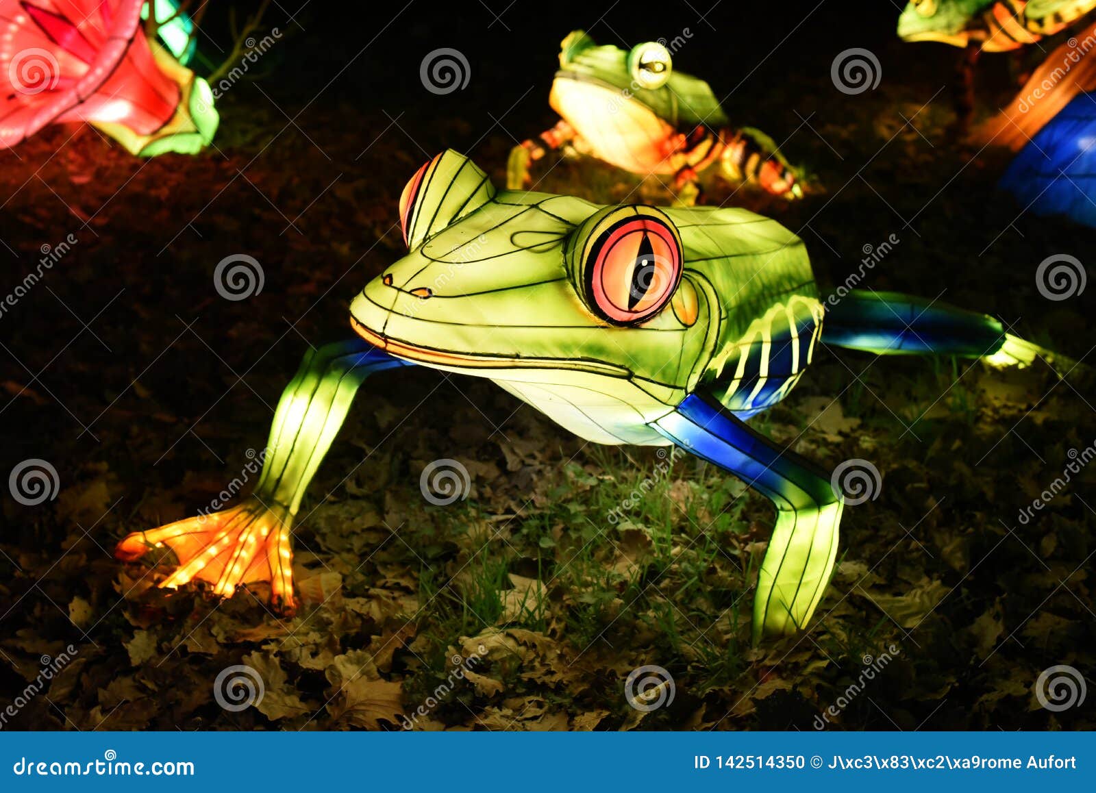 Beautiful Asian Illumination Editorial Image Image of asian, show