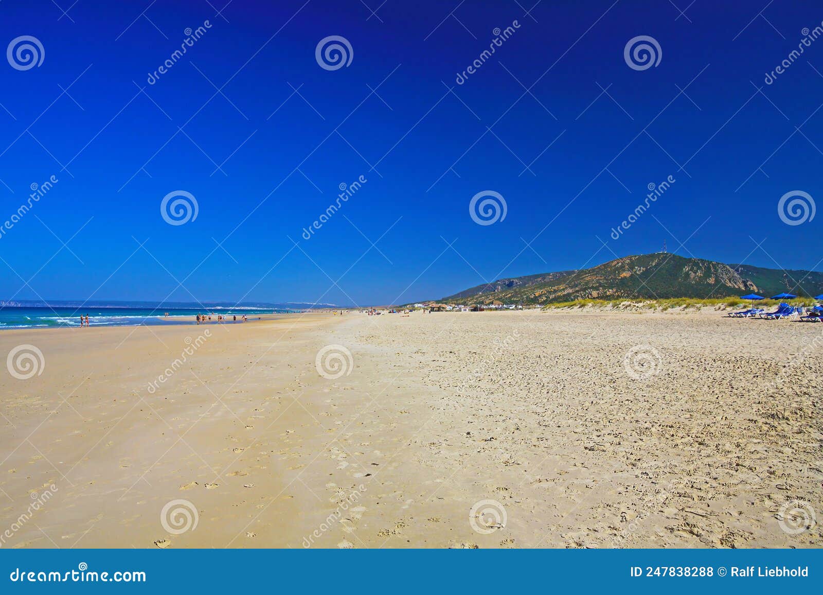 beautiful atlantic ocean empty natural sand beach, hills, clear cloudless blue sky - zahara de los atunes, costa de la luz, spain