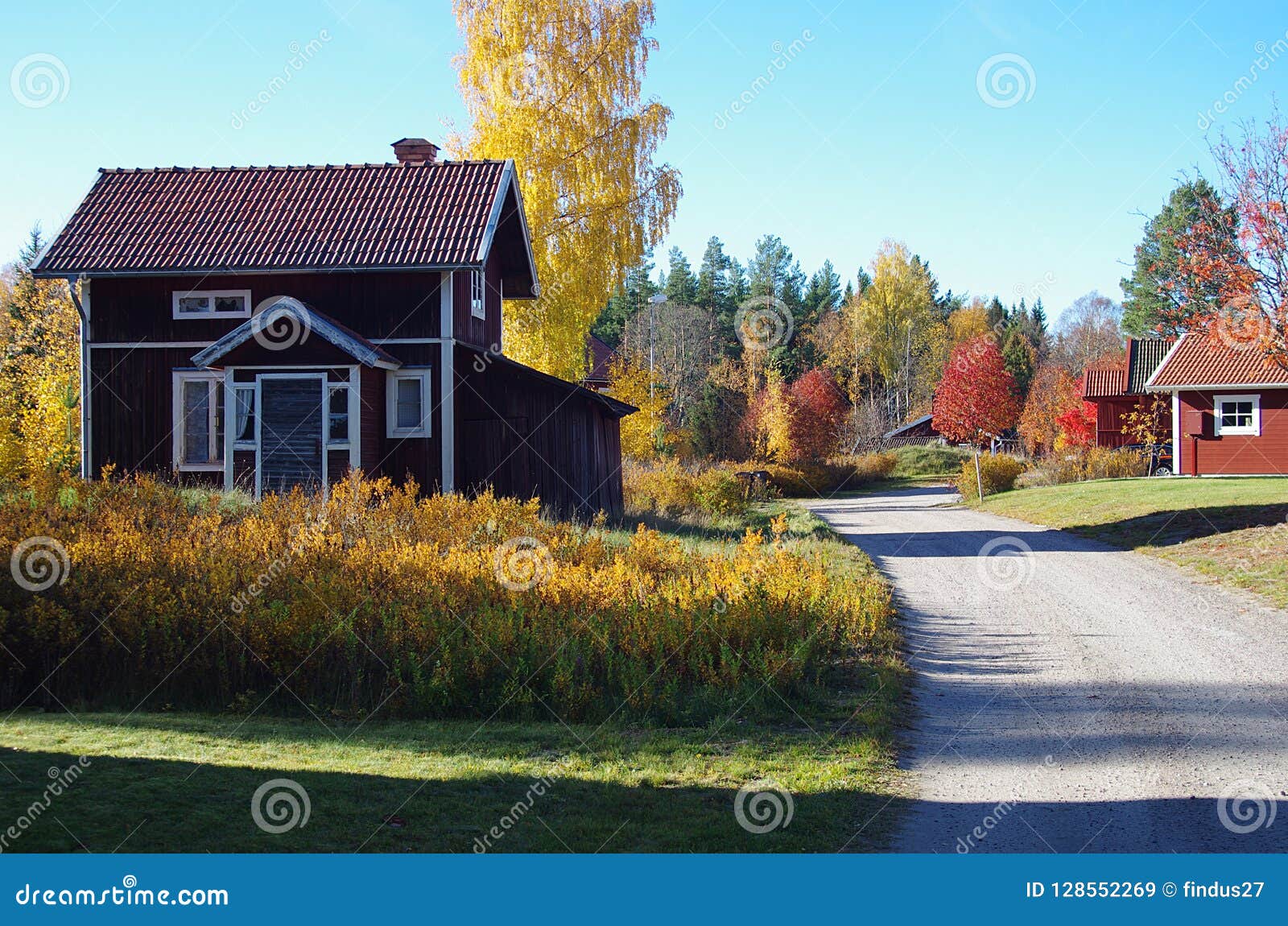 autumn colours in rural dalarna