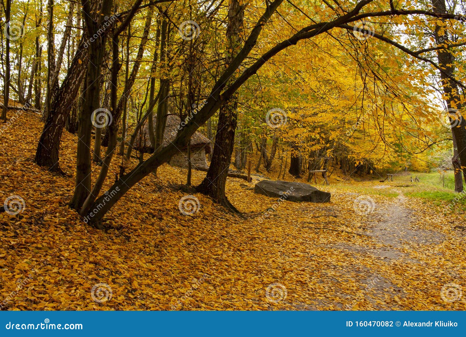 Beautiful Autumn Landscape. Autumn Gradient of Flowers. Colorful ...