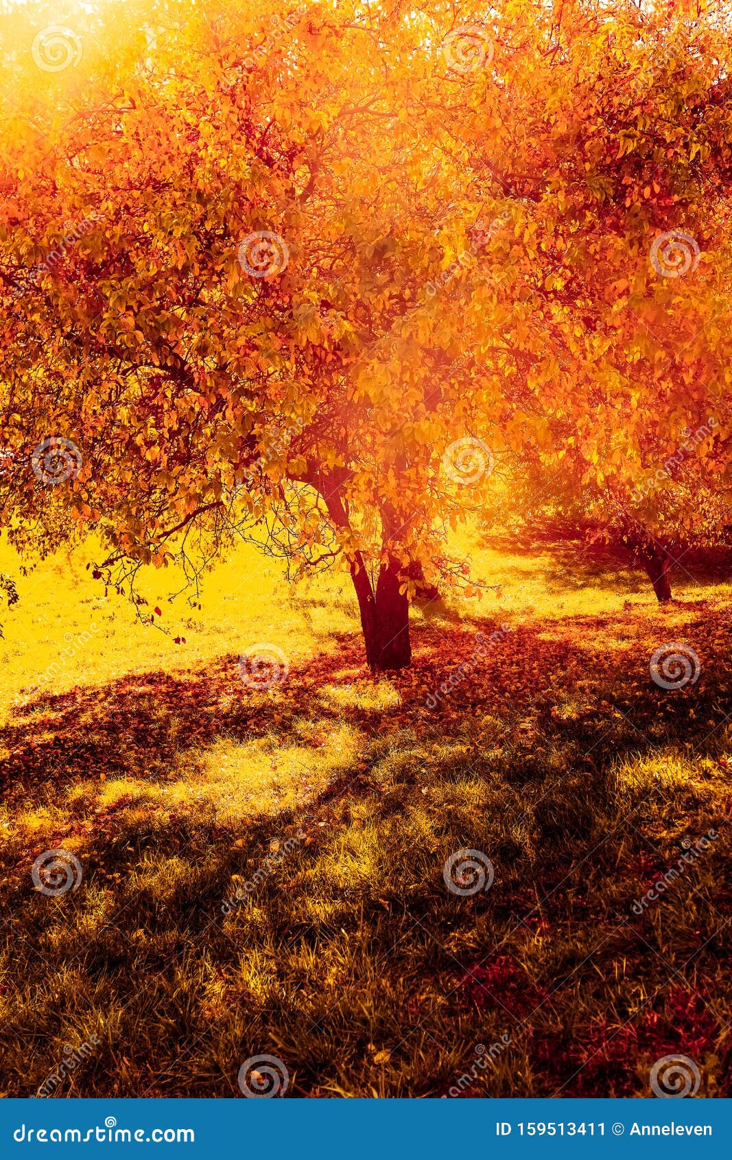 Beautiful Autumn Landscape Background, Vintage Nature Scene In Fall