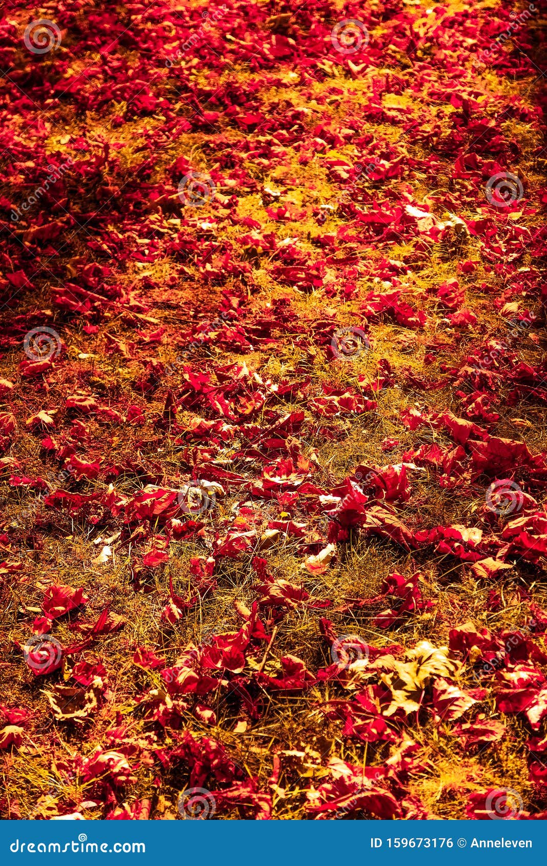 Beautiful Autumn Landscape Background, Vintage Nature Scene in Fall