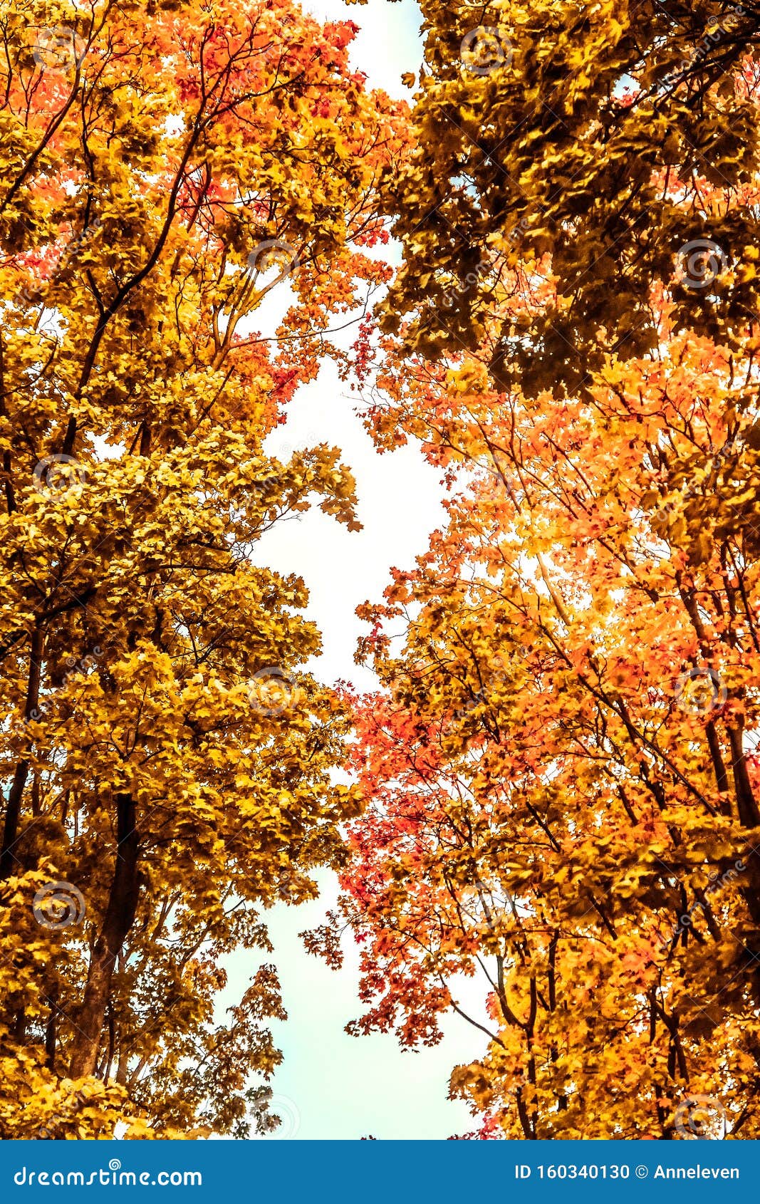 emulsion undertøj Broderskab Beautiful Autumn Landscape Background, Vintage Nature Scene in Fall Season  Stock Photo - Image of november, holiday: 160340130