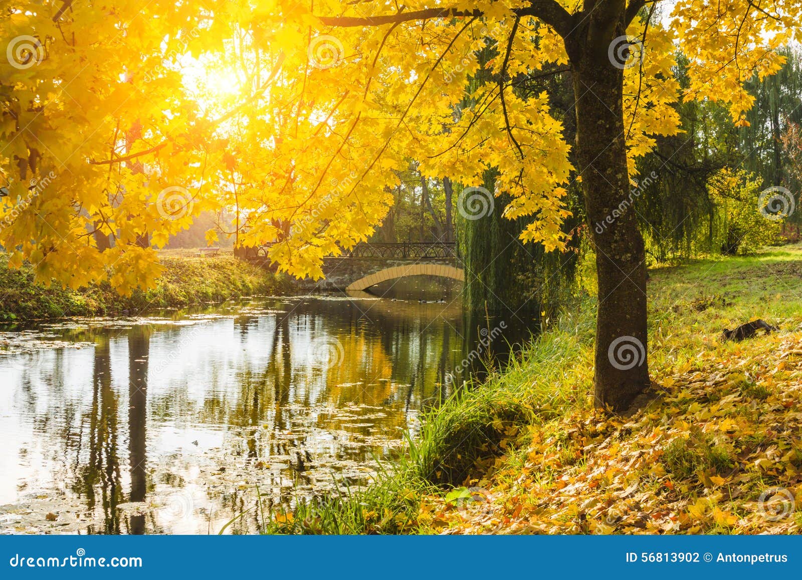 Beautiful Autumn Landscape with River, Bridge and Trees. Stock Photo ...