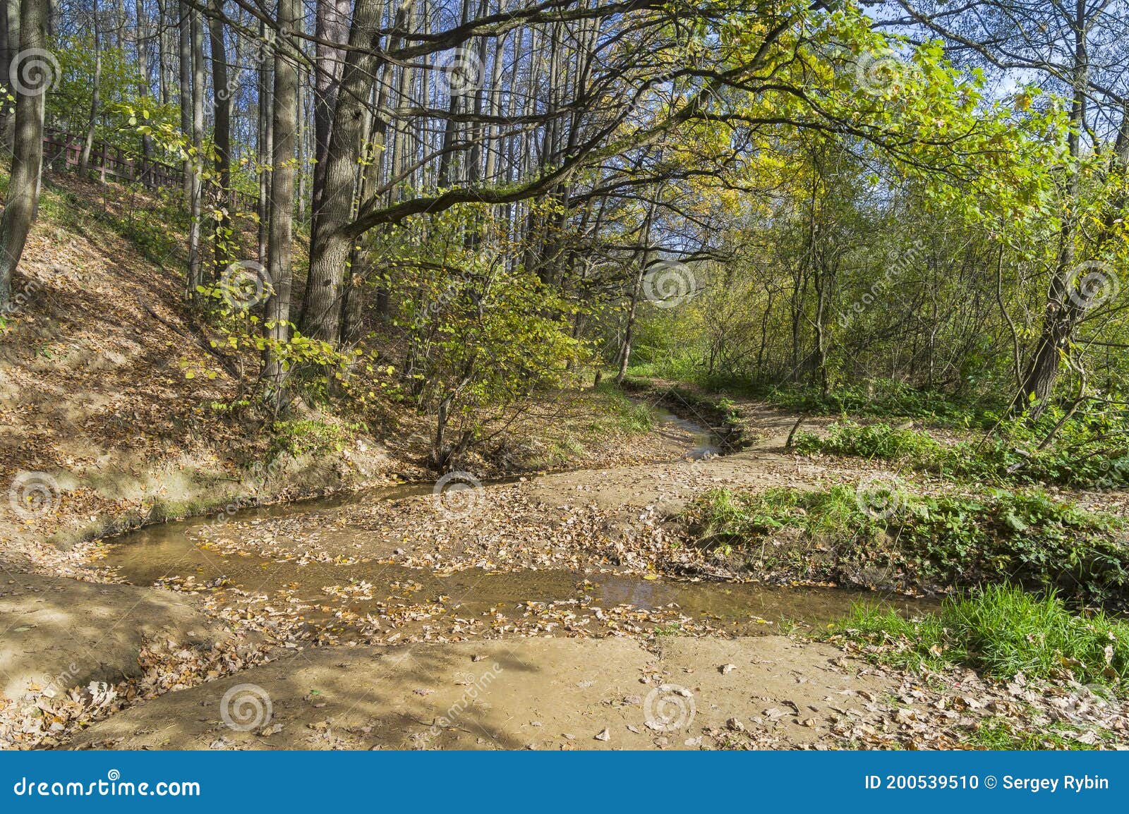 beautiful autumn landscape