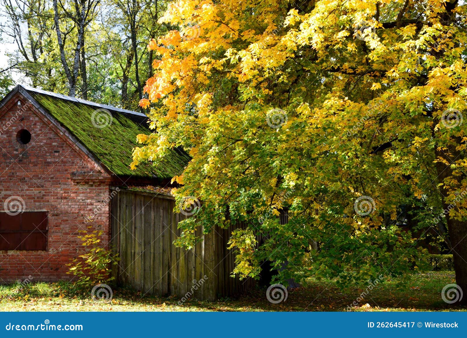 Beautiful Autumn in the Neighborhood Stock Image - Image of leaves ...