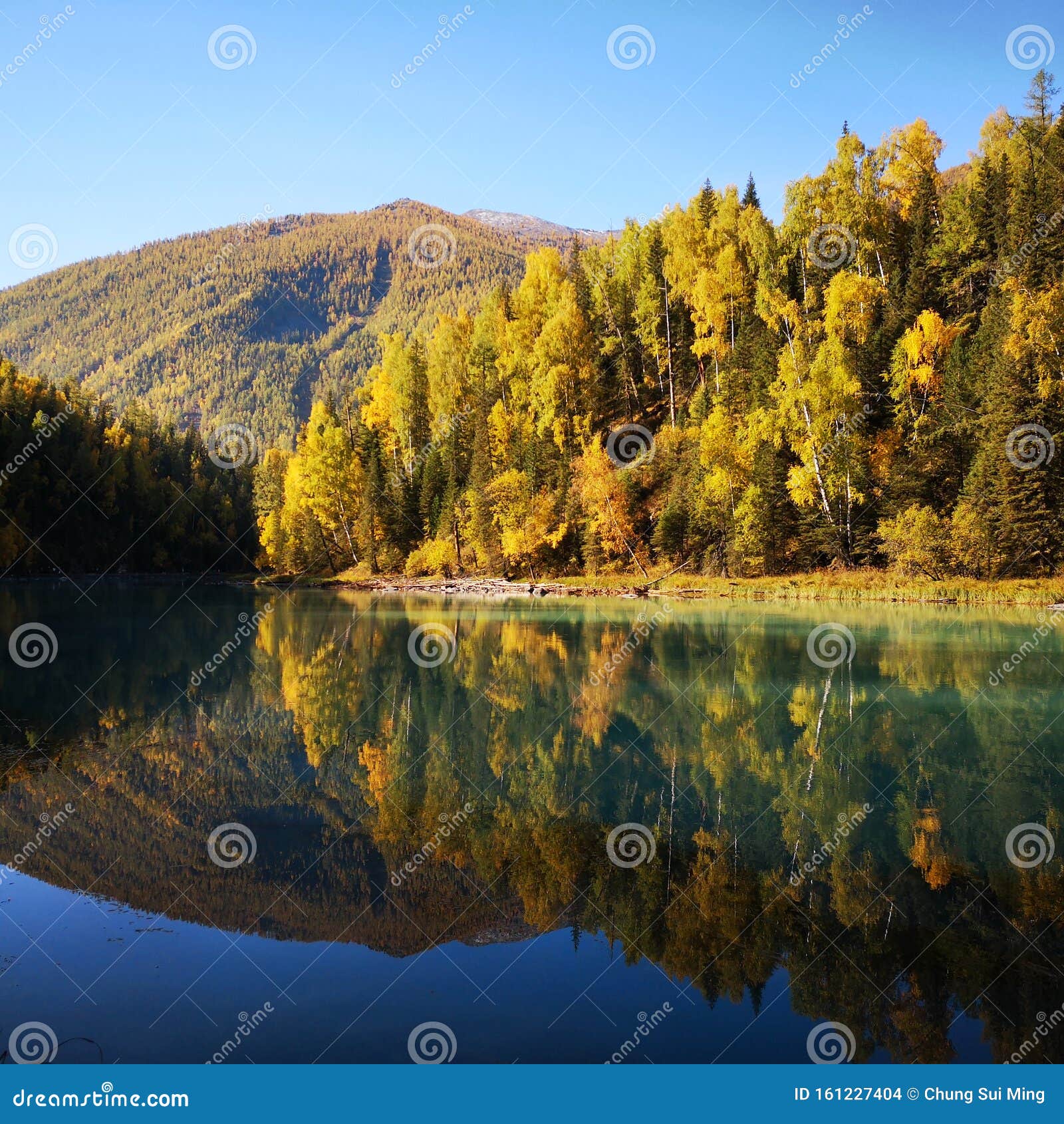 beautiful  autumn scenery with forest and reflection on the lake