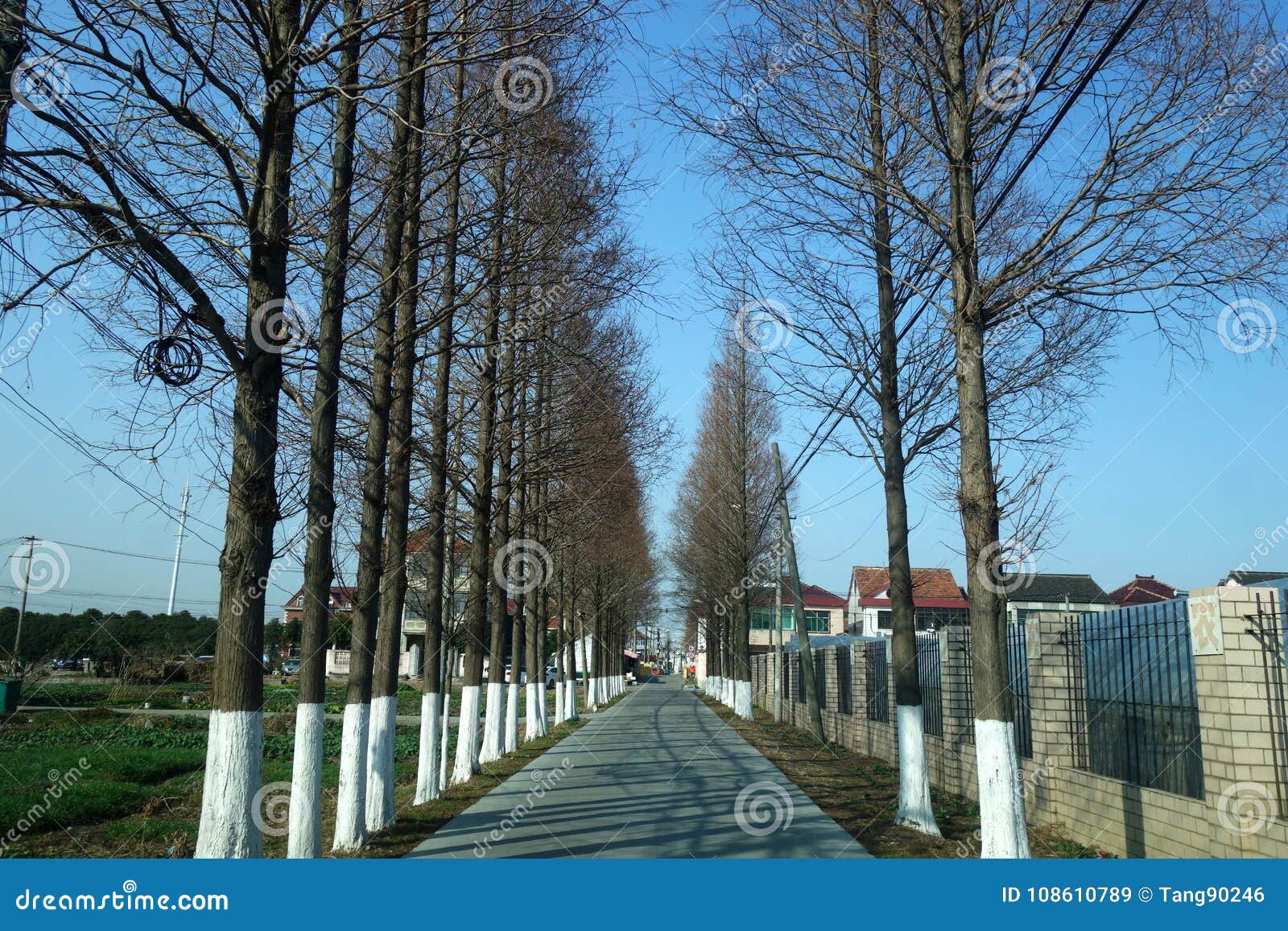 Beautiful Autumn Scenery in Shanghai Stock Image - Image of beauty ...