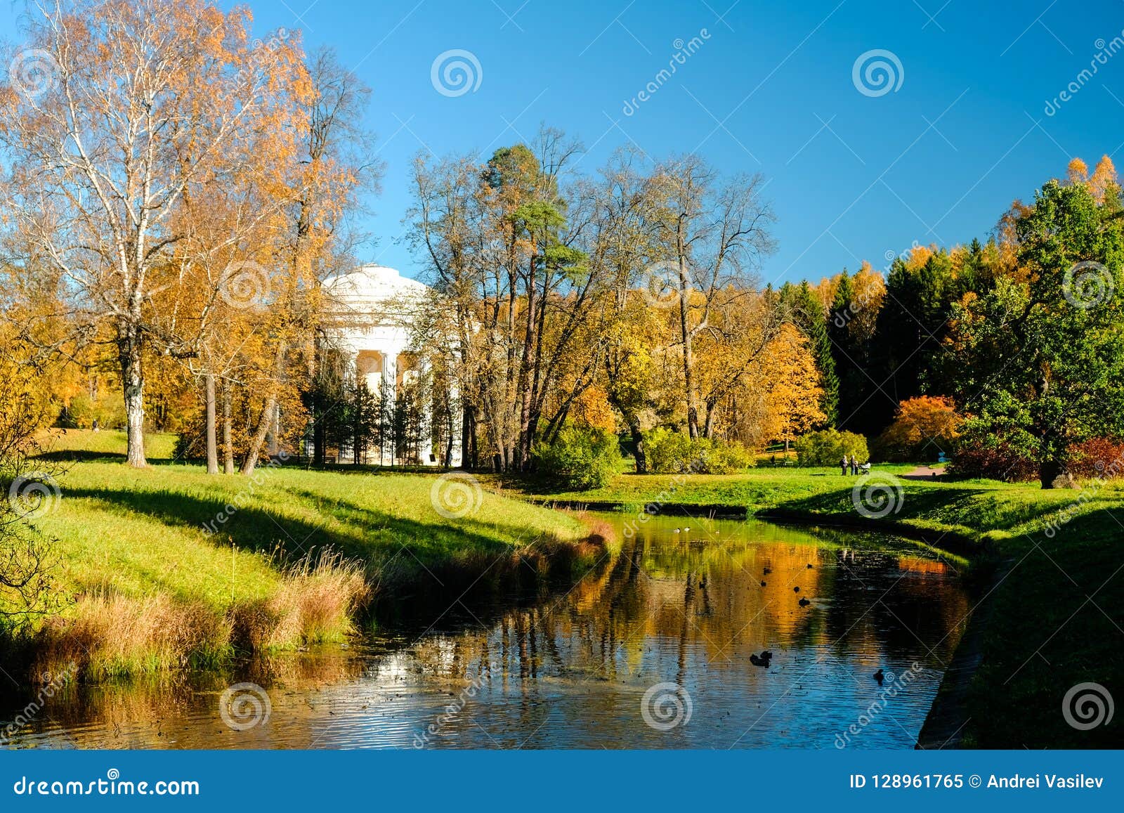 Beautiful Autumn Sunny Landscape In Pavlovsk Park With The ...