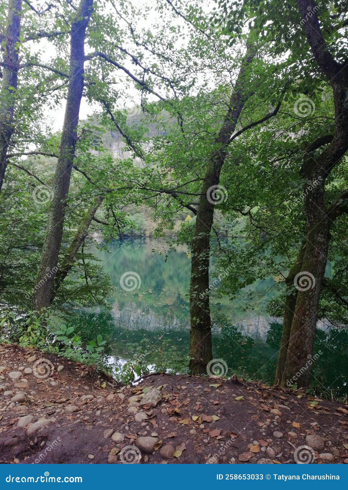 Beautiful Autumn View Blue Lake Among Green Spaces Stock Image Image