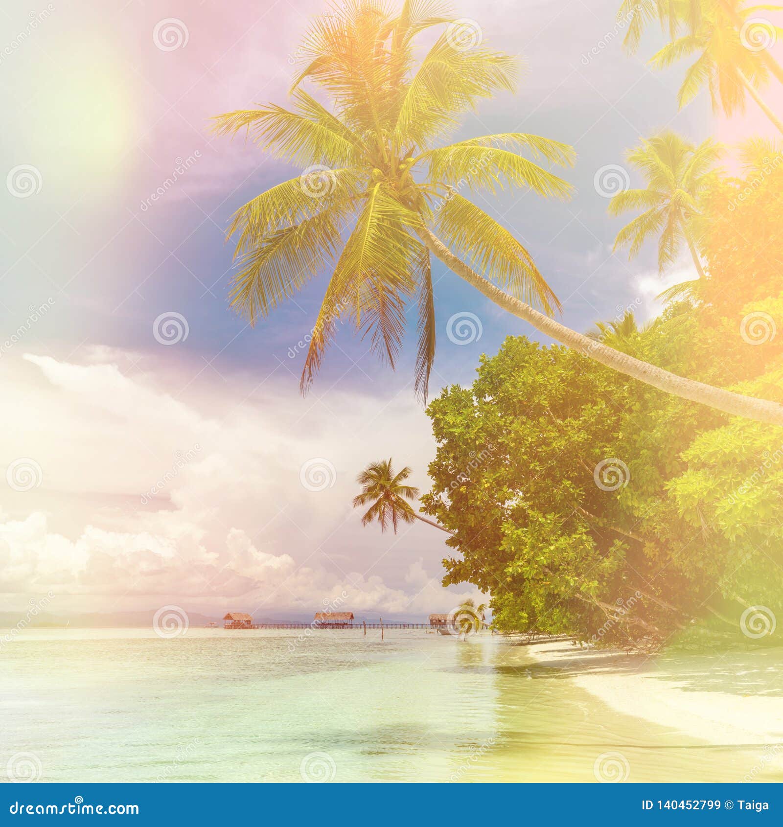 SUNNY BEACH TROPICAL PARADISE PALM TREES WALL POSTER ART PICTURE PRINT LARGE