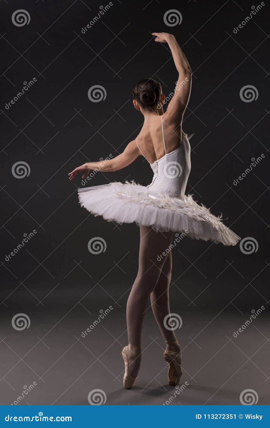 Beautiful Ballerina Dancing Gracefully Stock Image - Image 113272351
