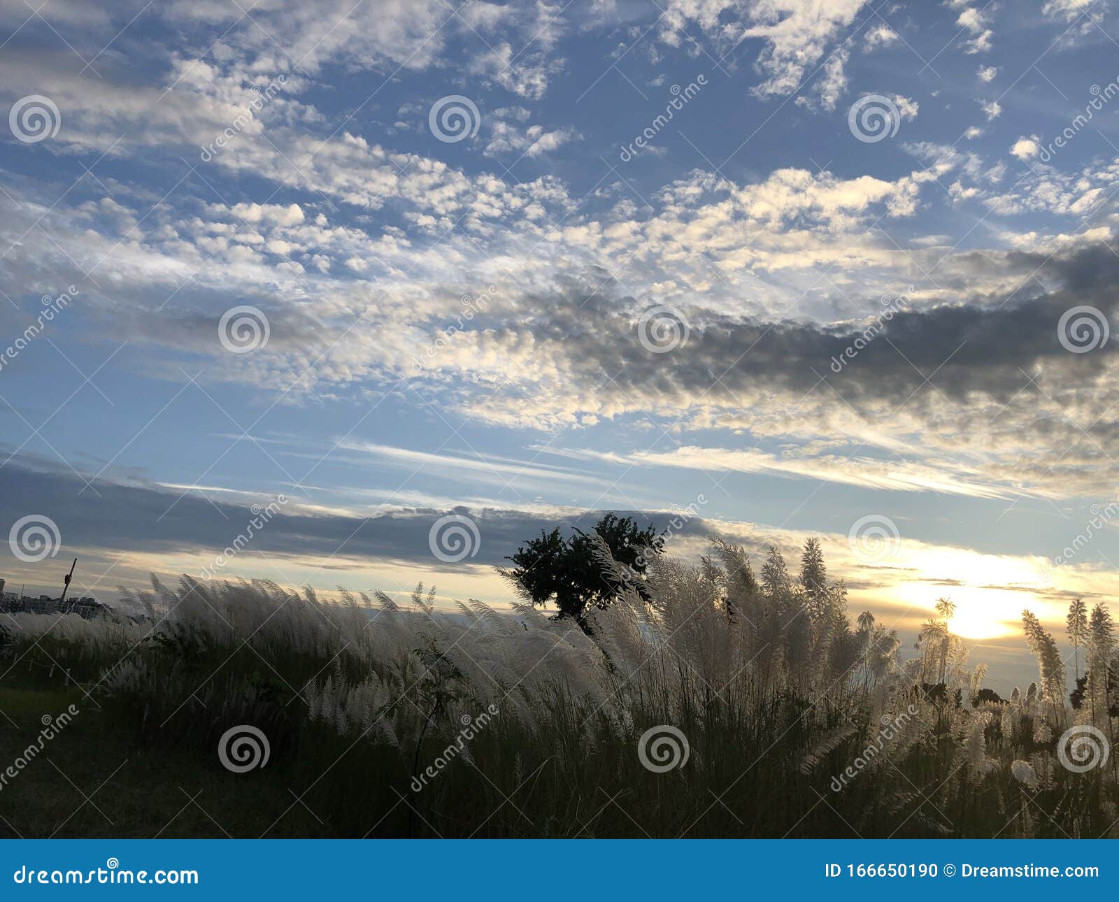 Beautiful Bangladesh Late Autumn Scenery Stock Photo Image Of