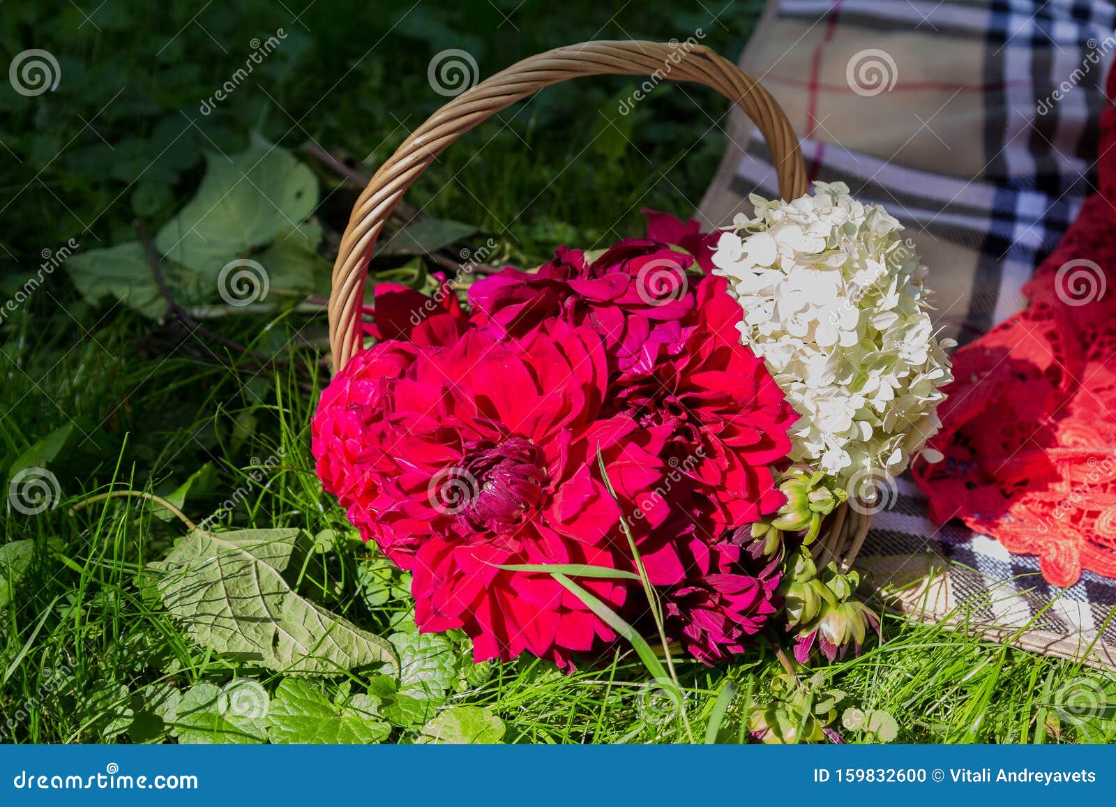 Beautiful Basket with Flowers on the Grass. Stock Photo Image of food