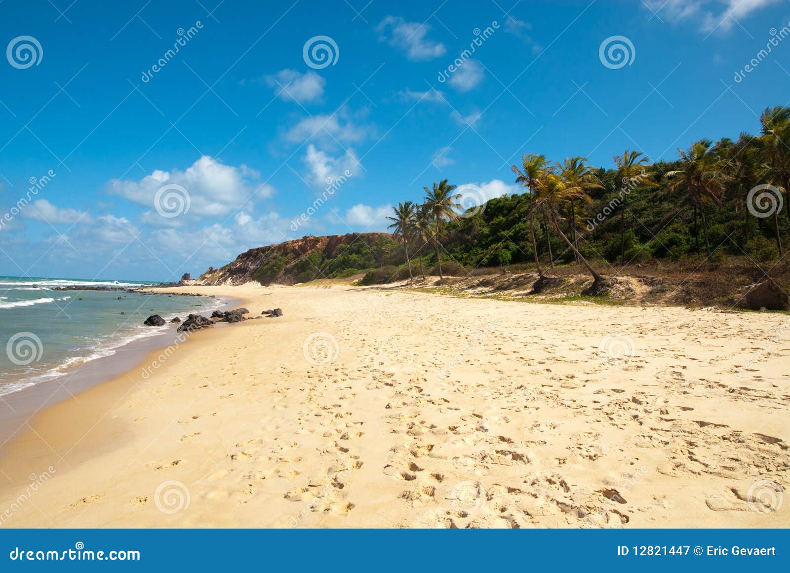 beautiful beach with palm trees at praia do amor