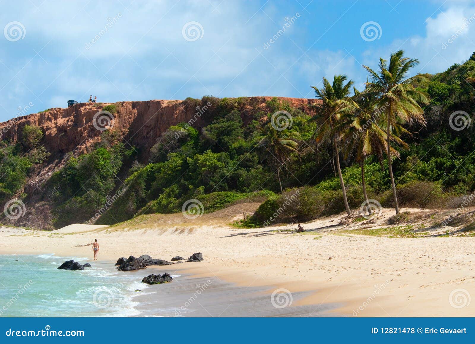 beautiful beach with palm trees at praia do amor