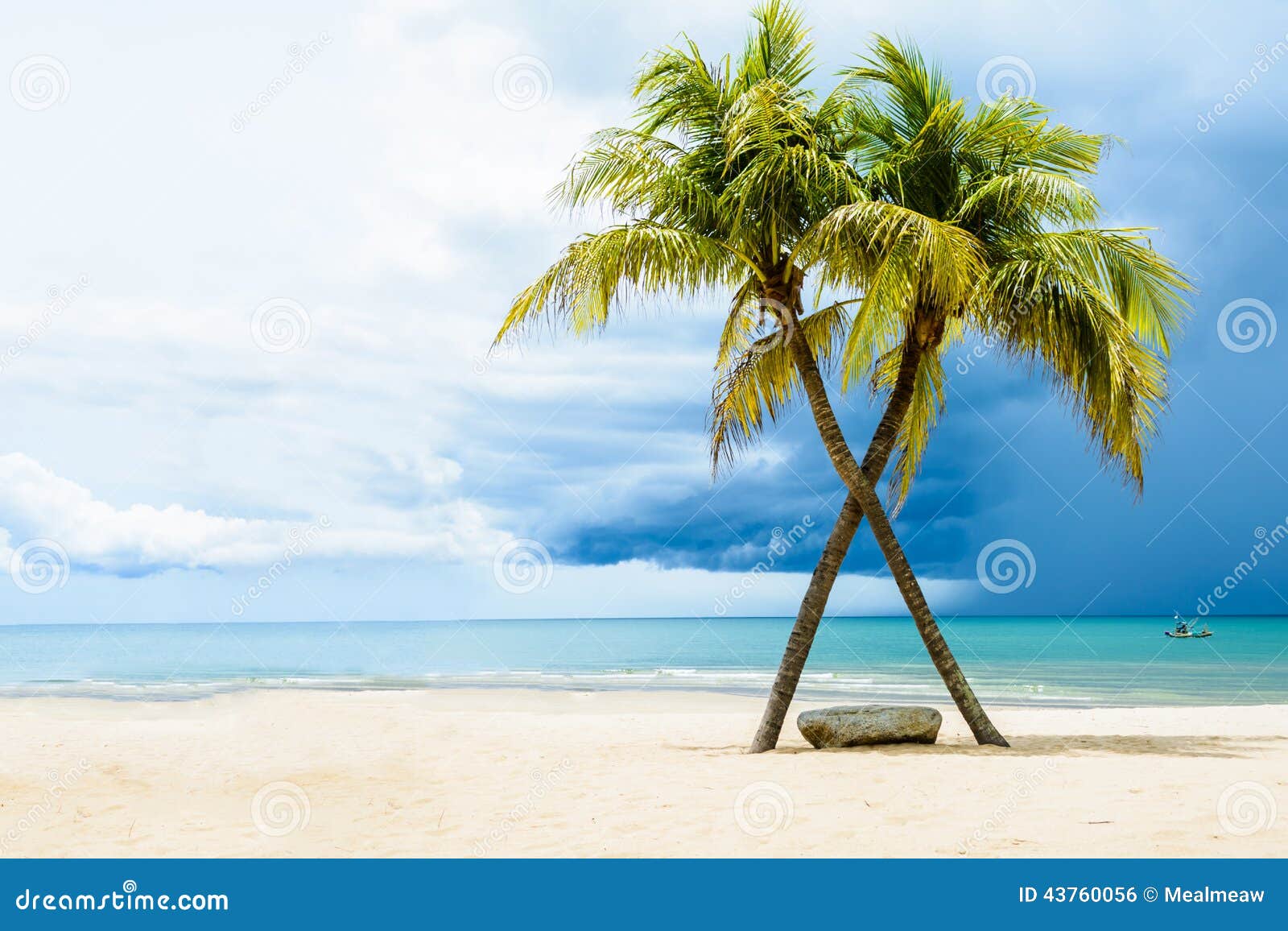 beautiful beach with palms