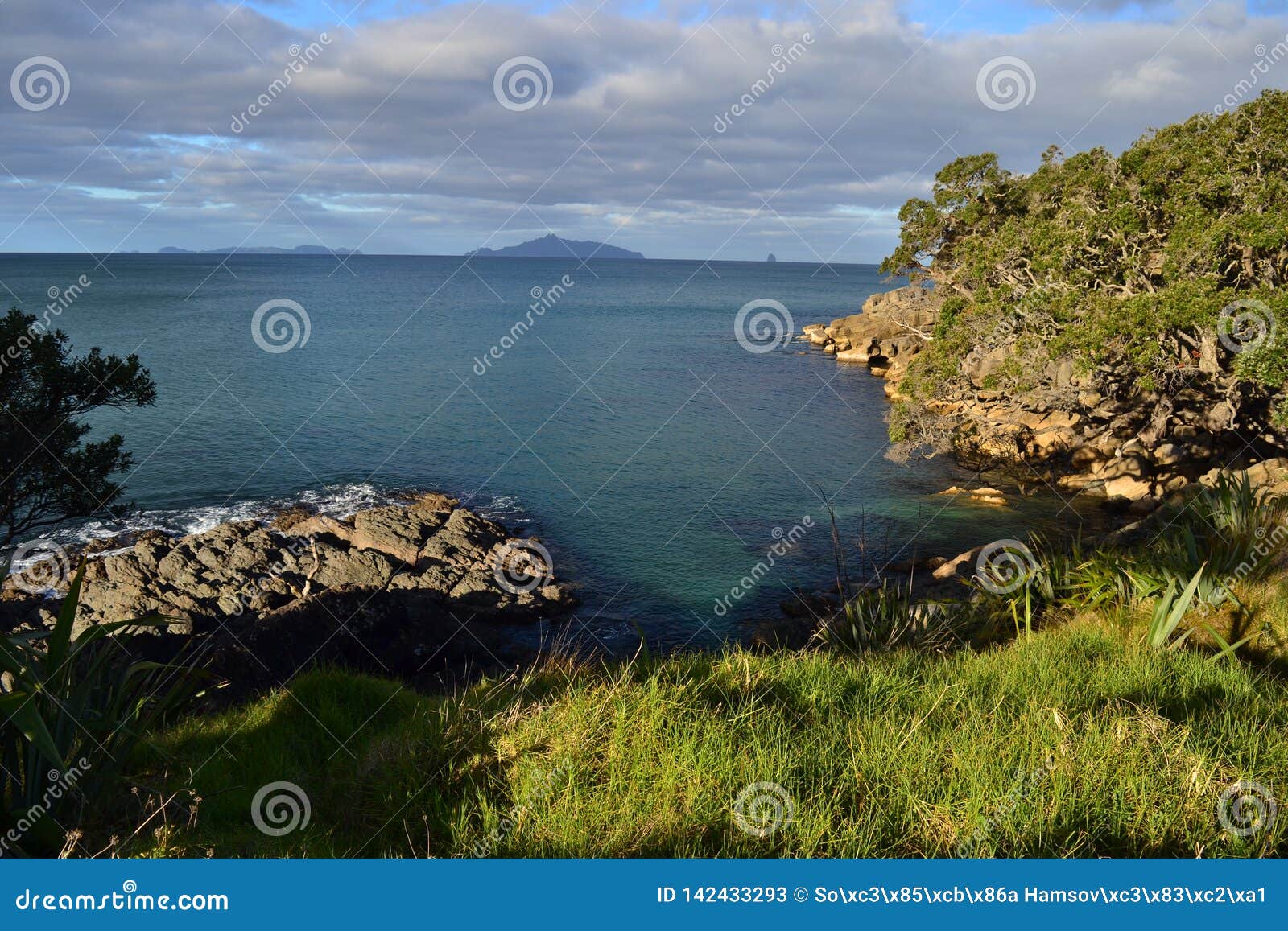 50+ Waipu Cove Stock Photos, Pictures & Royalty-Free Images - iStock