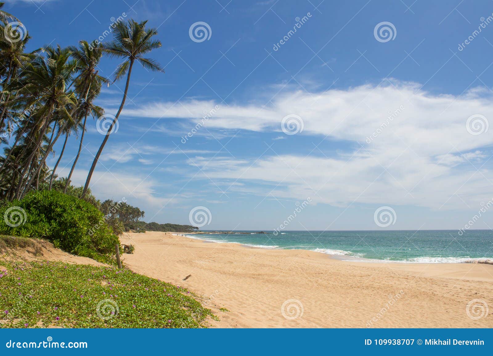 beautiful beach. view of nice tropical beach with palms around.