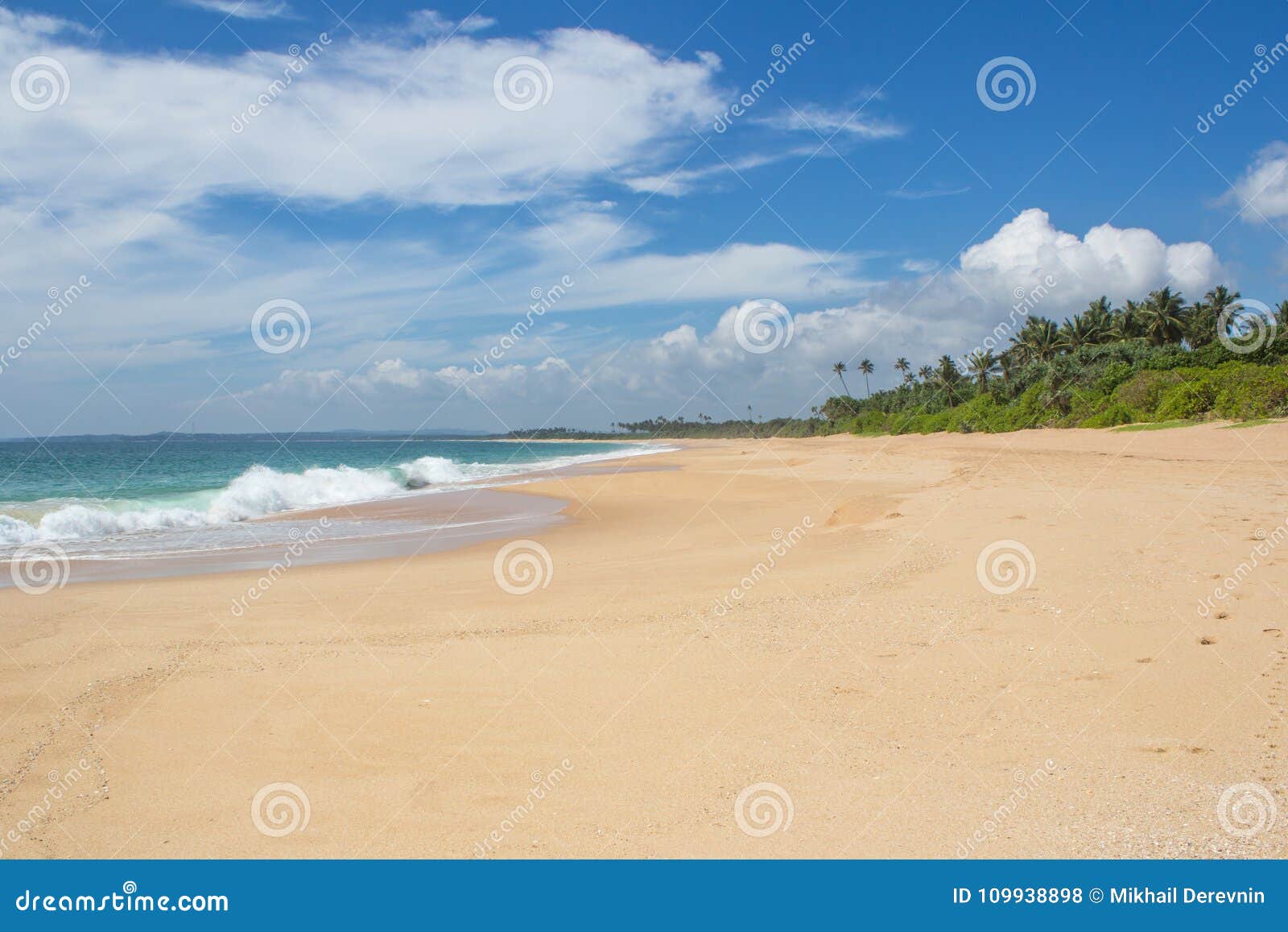 beautiful beach. view of nice tropical beach with palms around.